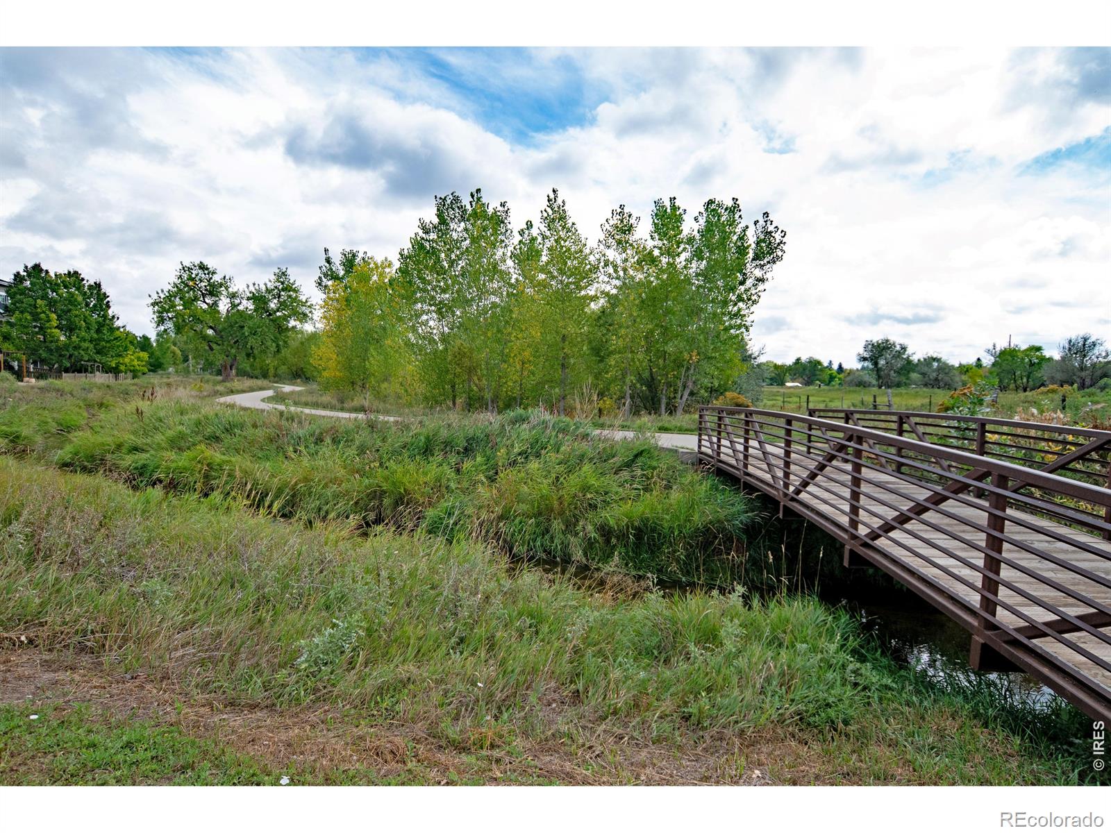 MLS Image #22 for 533 n impala drive,fort collins, Colorado