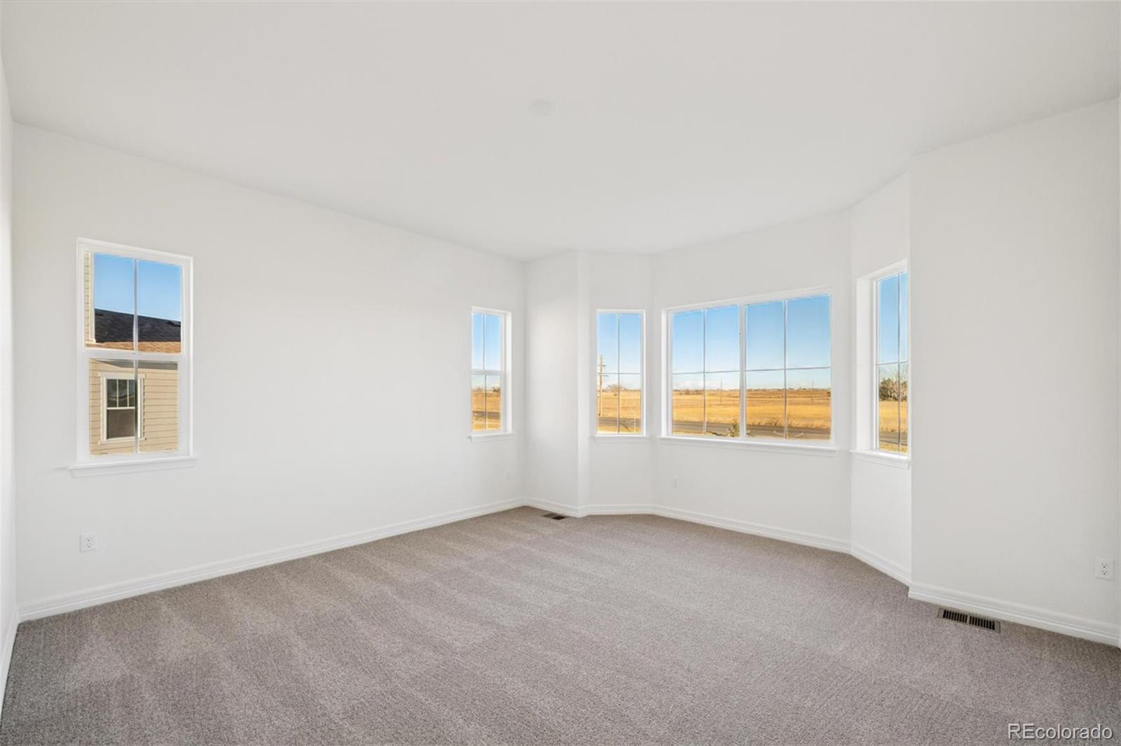 MLS Image #13 for 1168  weller street,timnath, Colorado