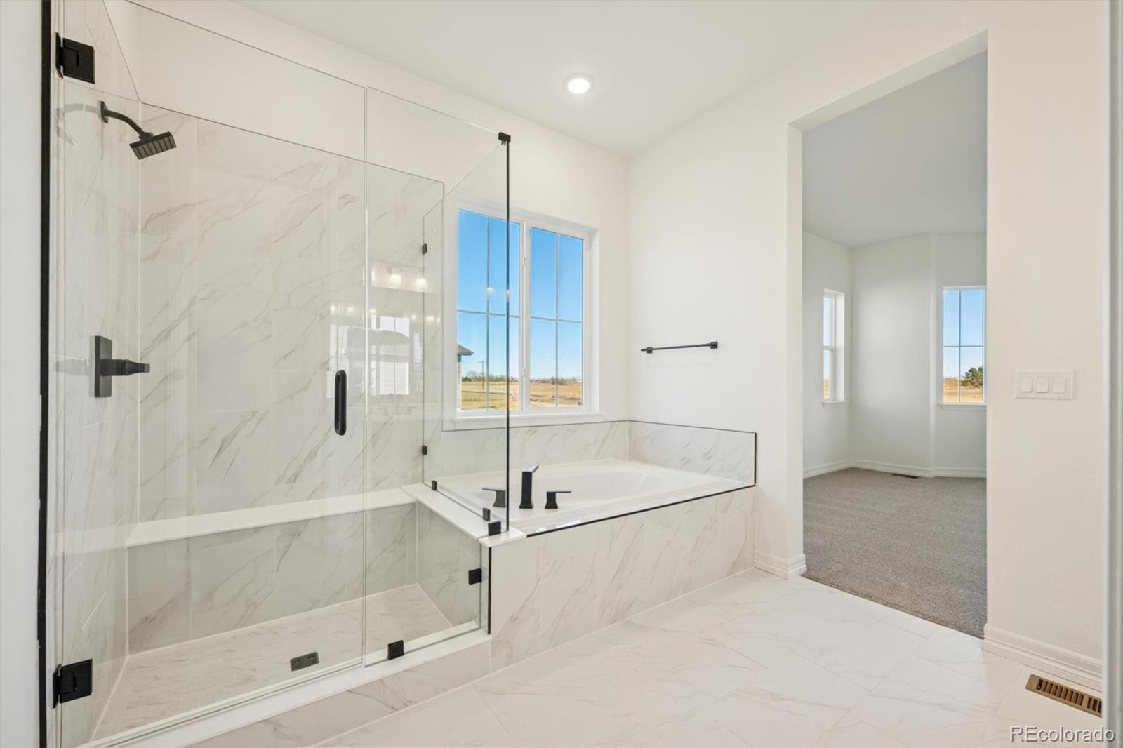 MLS Image #15 for 1168  weller street,timnath, Colorado
