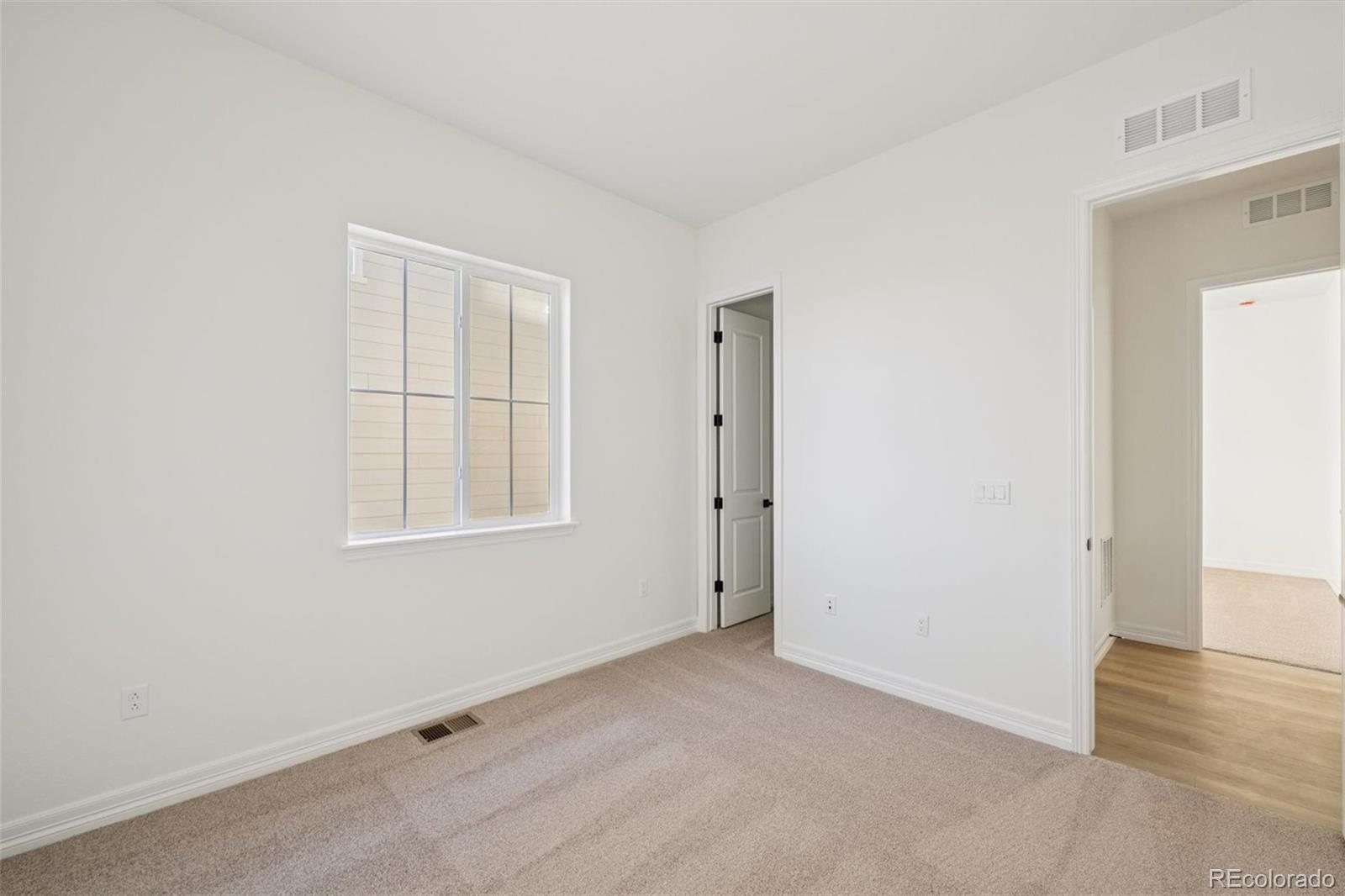 MLS Image #7 for 1168  weller street,timnath, Colorado