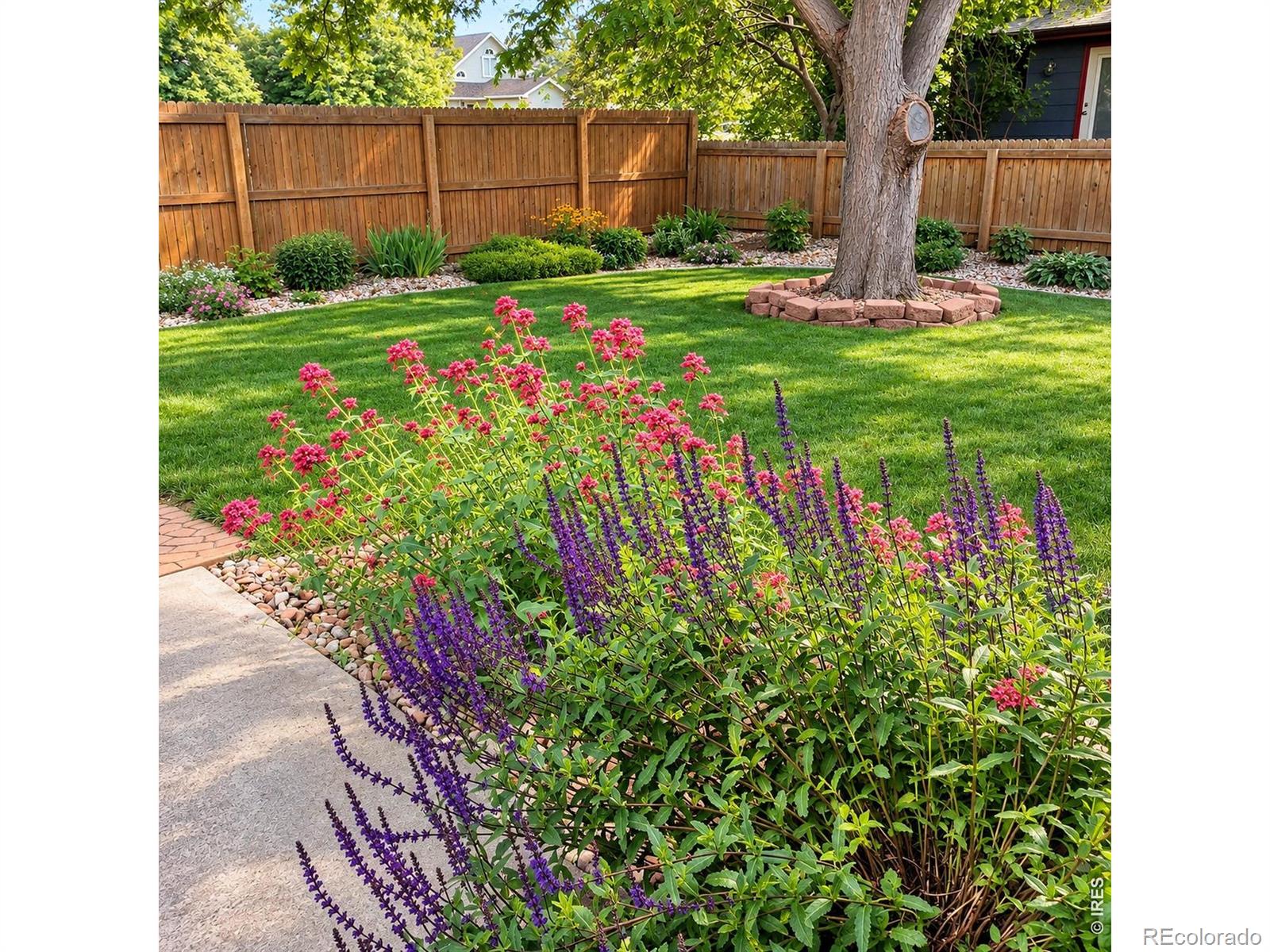 MLS Image #21 for 720  ponderosa drive,fort collins, Colorado