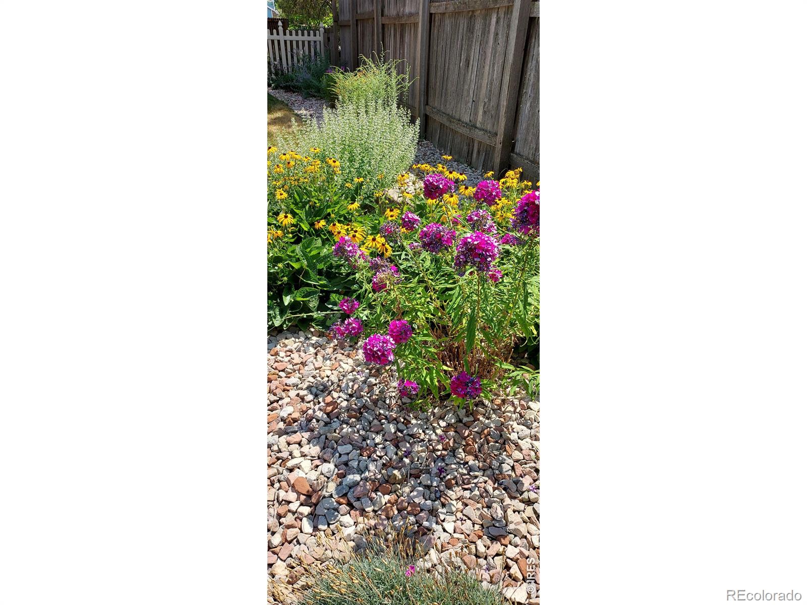 MLS Image #24 for 720  ponderosa drive,fort collins, Colorado