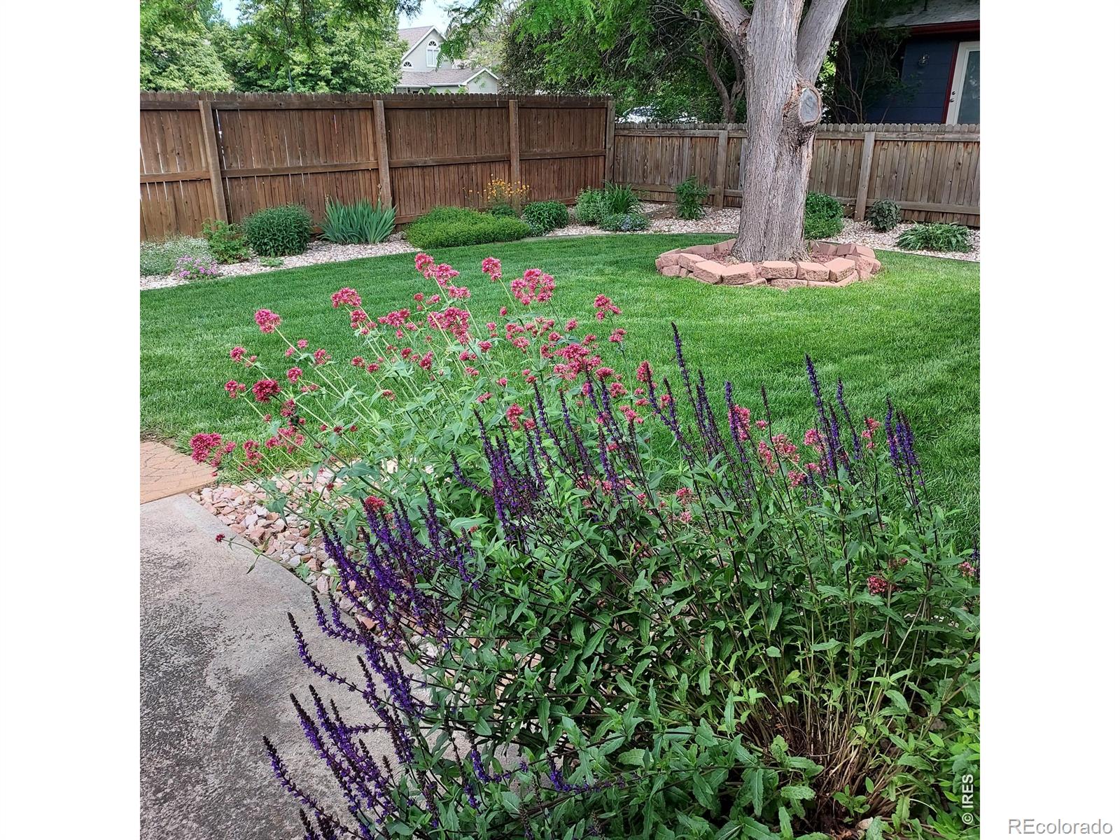 MLS Image #26 for 720  ponderosa drive,fort collins, Colorado
