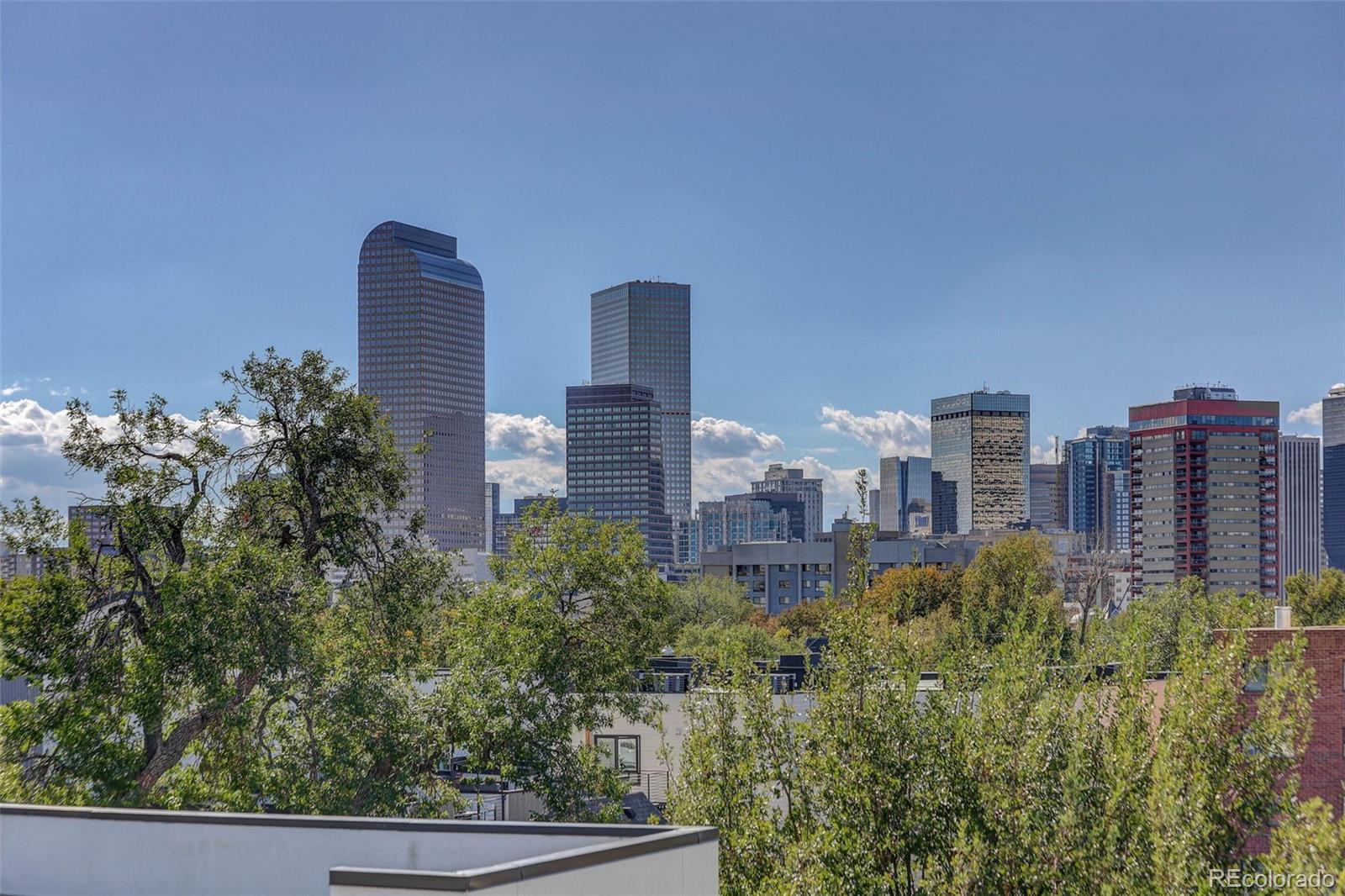 MLS Image #27 for 1312 e 22nd avenue,denver, Colorado