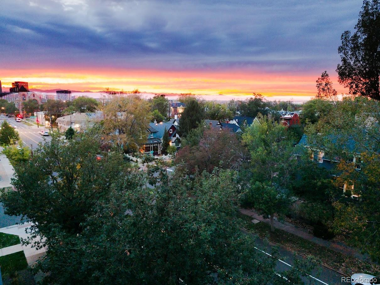 MLS Image #32 for 1312 e 22nd avenue,denver, Colorado