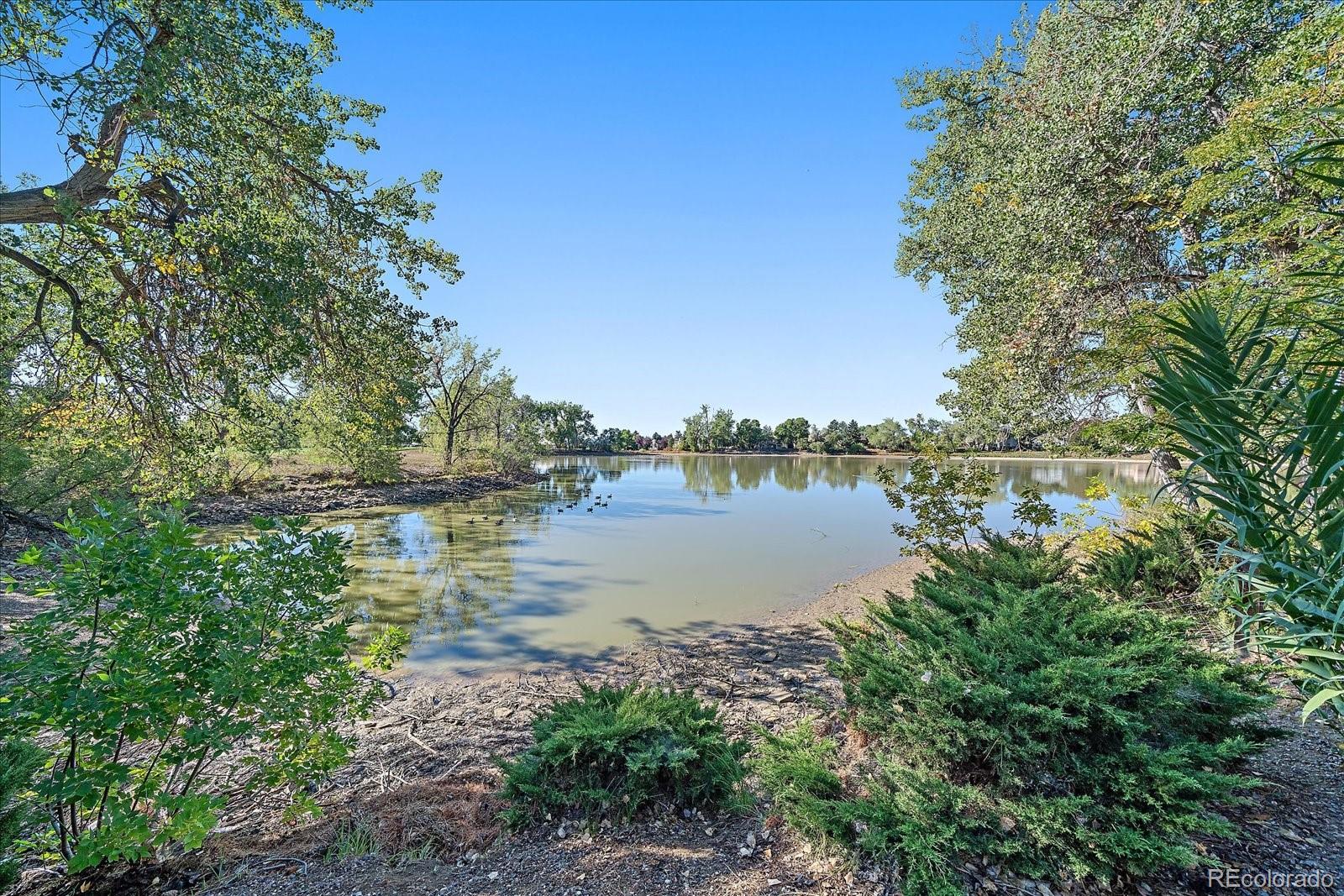 MLS Image #35 for 1364  nissen place,broomfield, Colorado