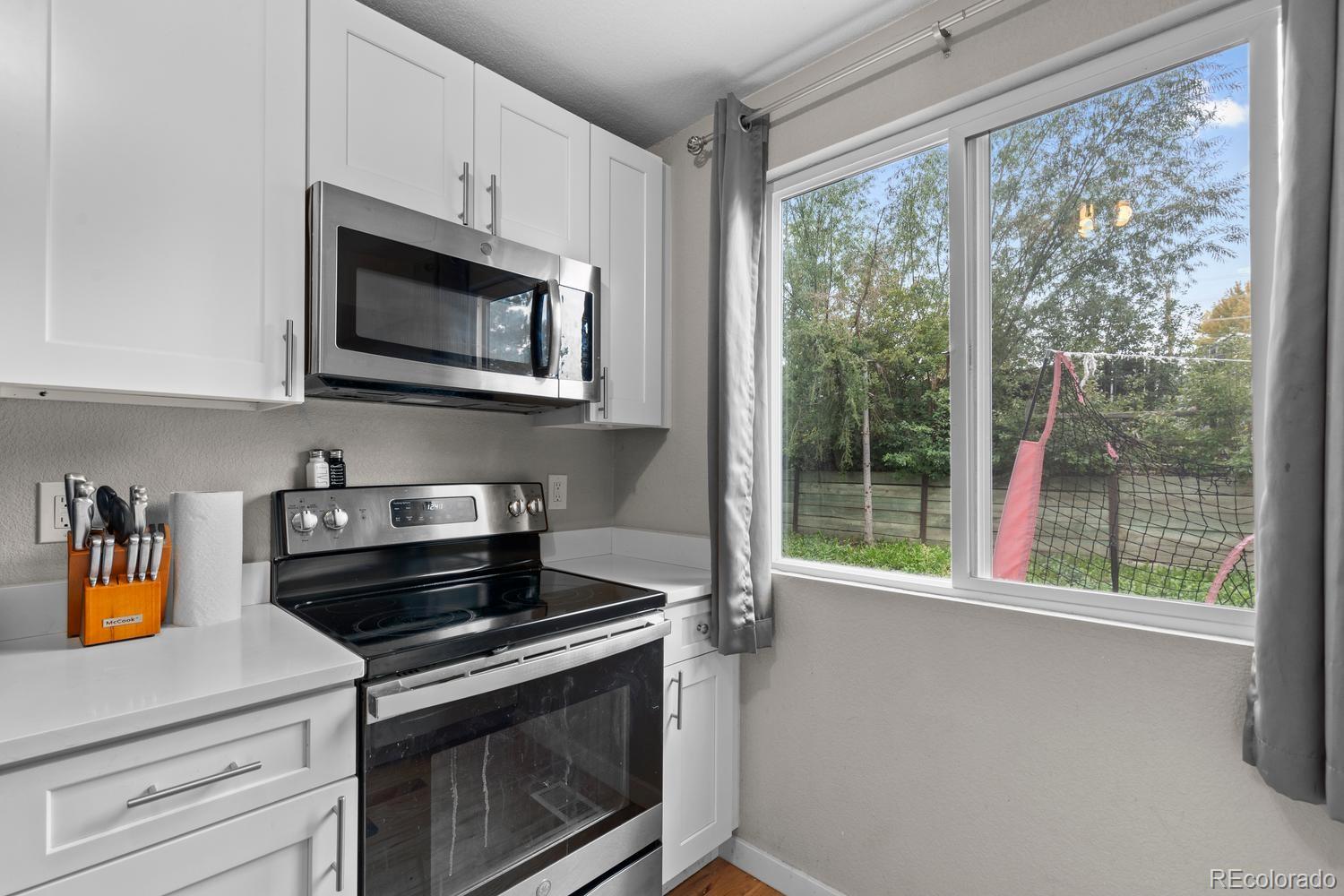 MLS Image #11 for 8427  blue grama court,parker, Colorado