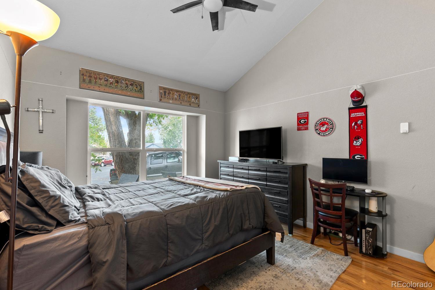 MLS Image #14 for 8427  blue grama court,parker, Colorado