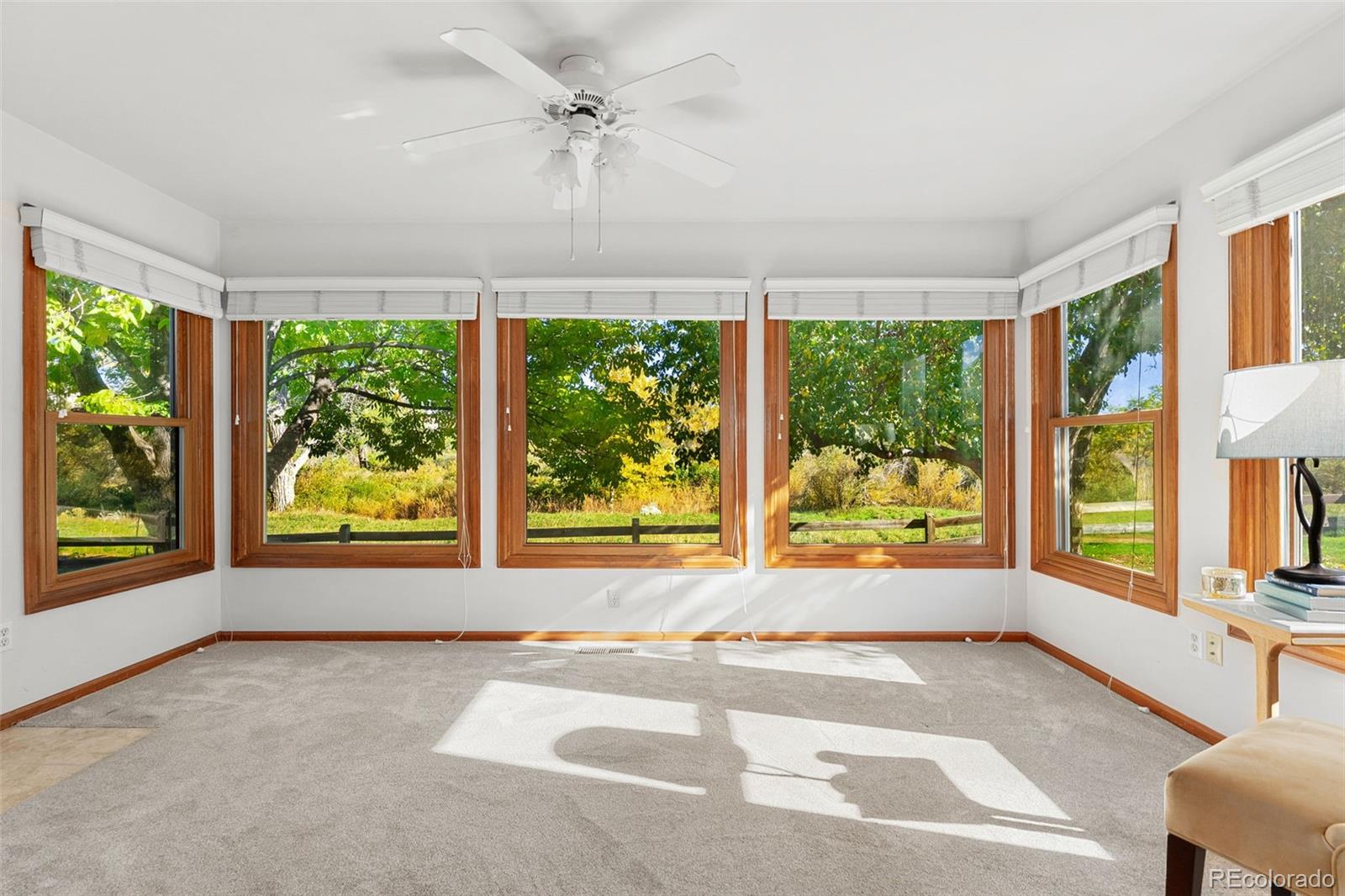 MLS Image #3 for 8968  greenspointe lane,highlands ranch, Colorado