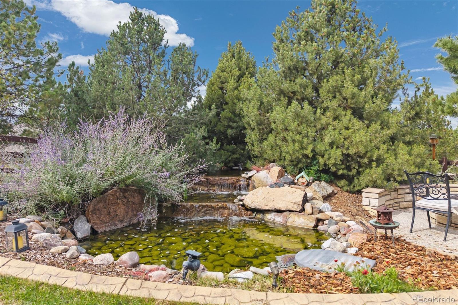 MLS Image #46 for 5475  grand fir way,parker, Colorado