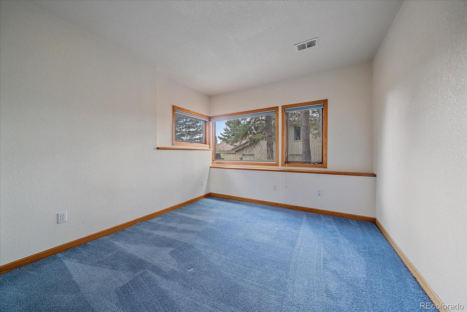 MLS Image #24 for 6617  condor run,littleton, Colorado