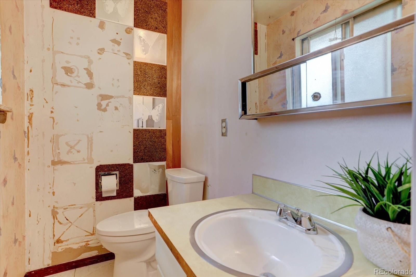 MLS Image #11 for 2558  balsam street,lakewood, Colorado