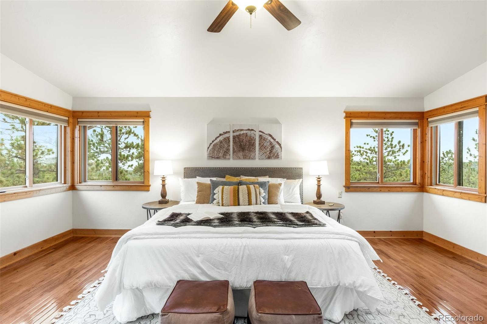 MLS Image #21 for 229  mohawk trail,pine, Colorado