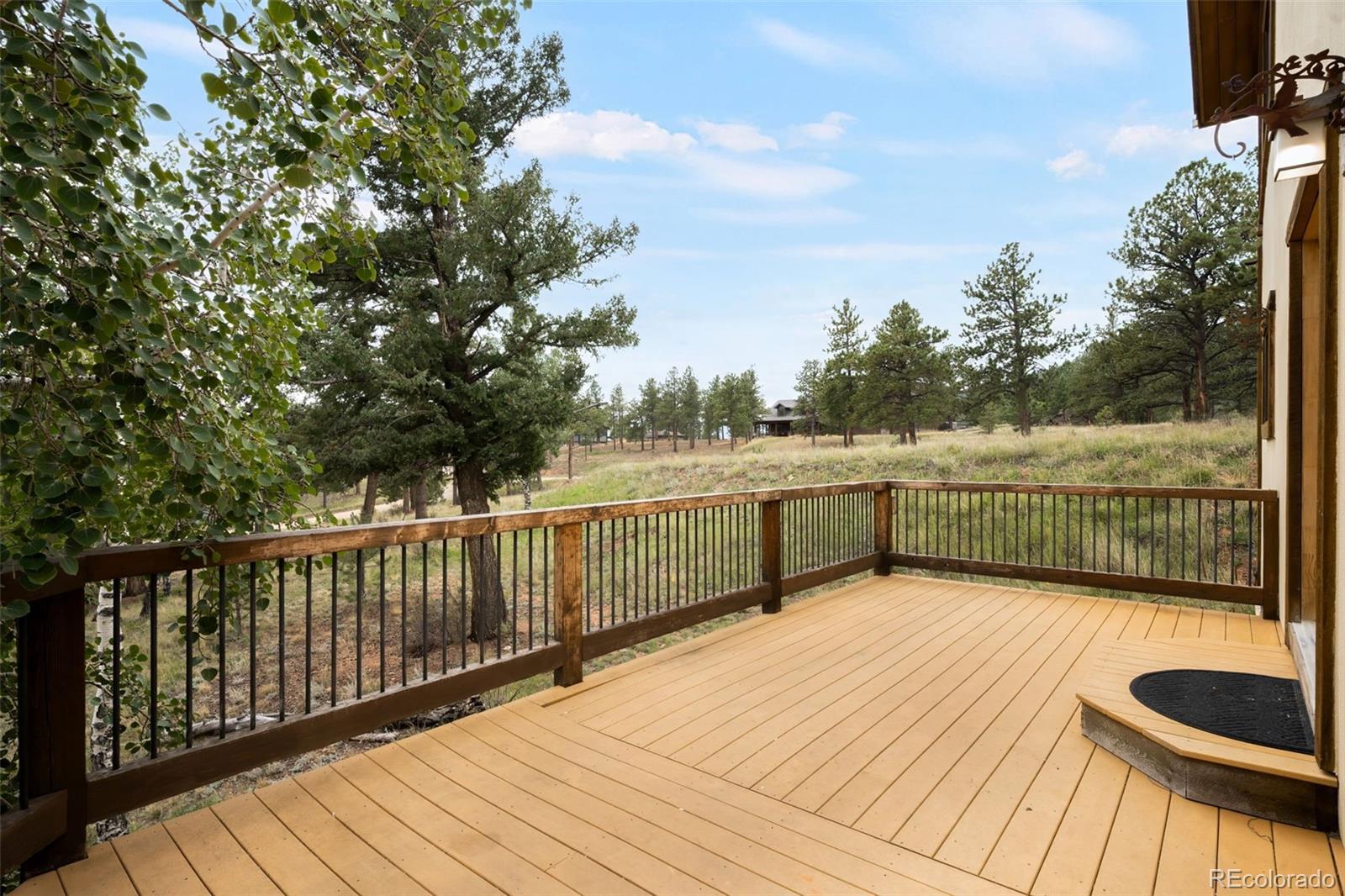MLS Image #3 for 229  mohawk trail,pine, Colorado