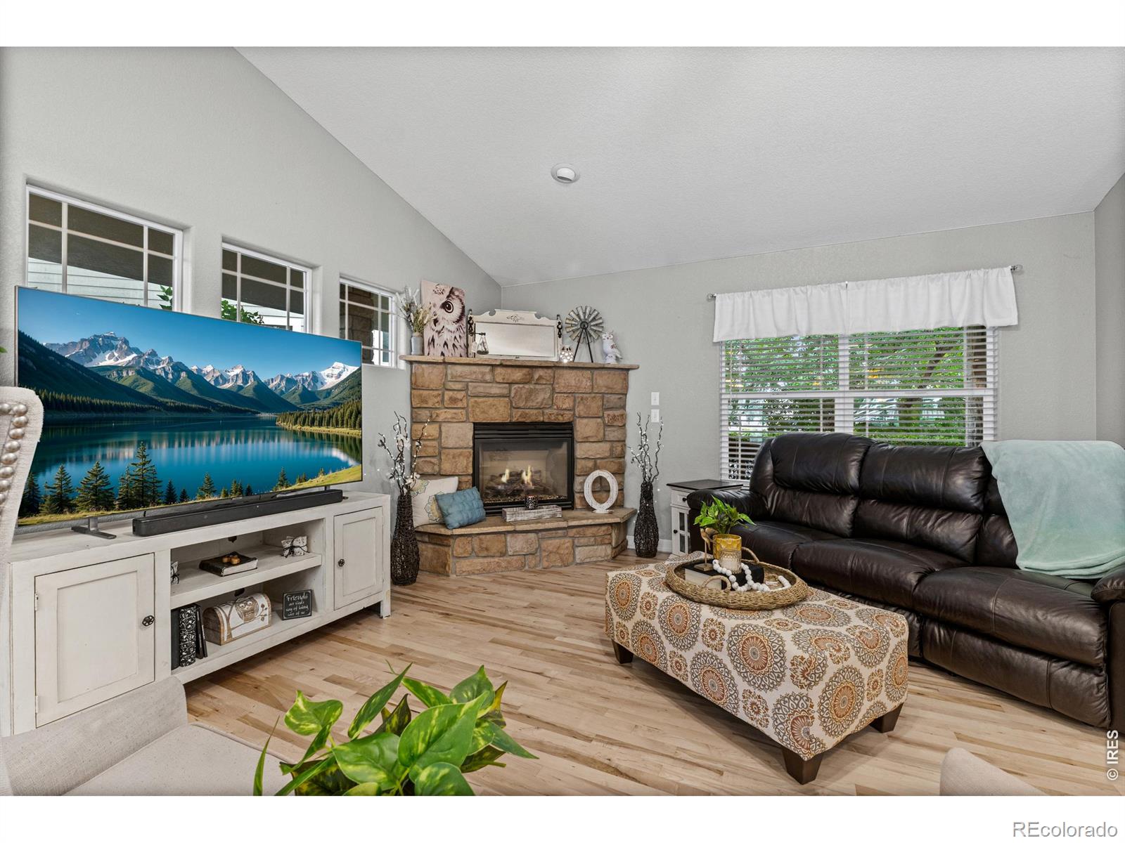 MLS Image #6 for 563  kenai court,windsor, Colorado