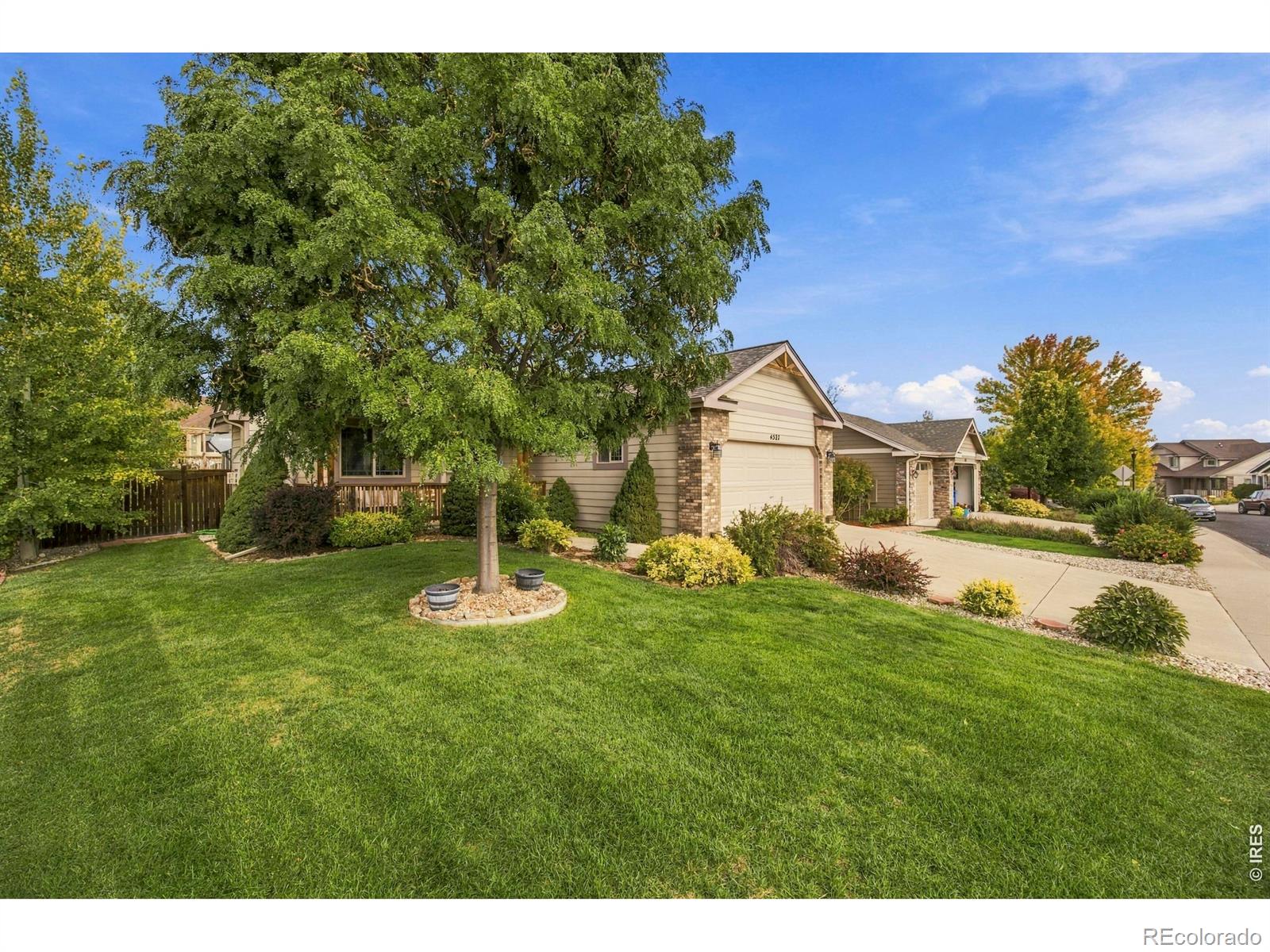 MLS Image #3 for 4527  cole drive,loveland, Colorado