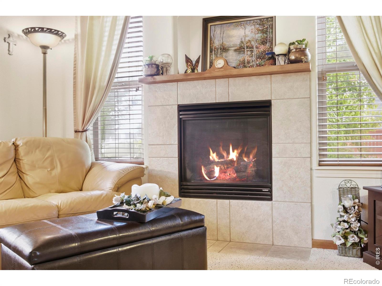 MLS Image #8 for 4527  cole drive,loveland, Colorado