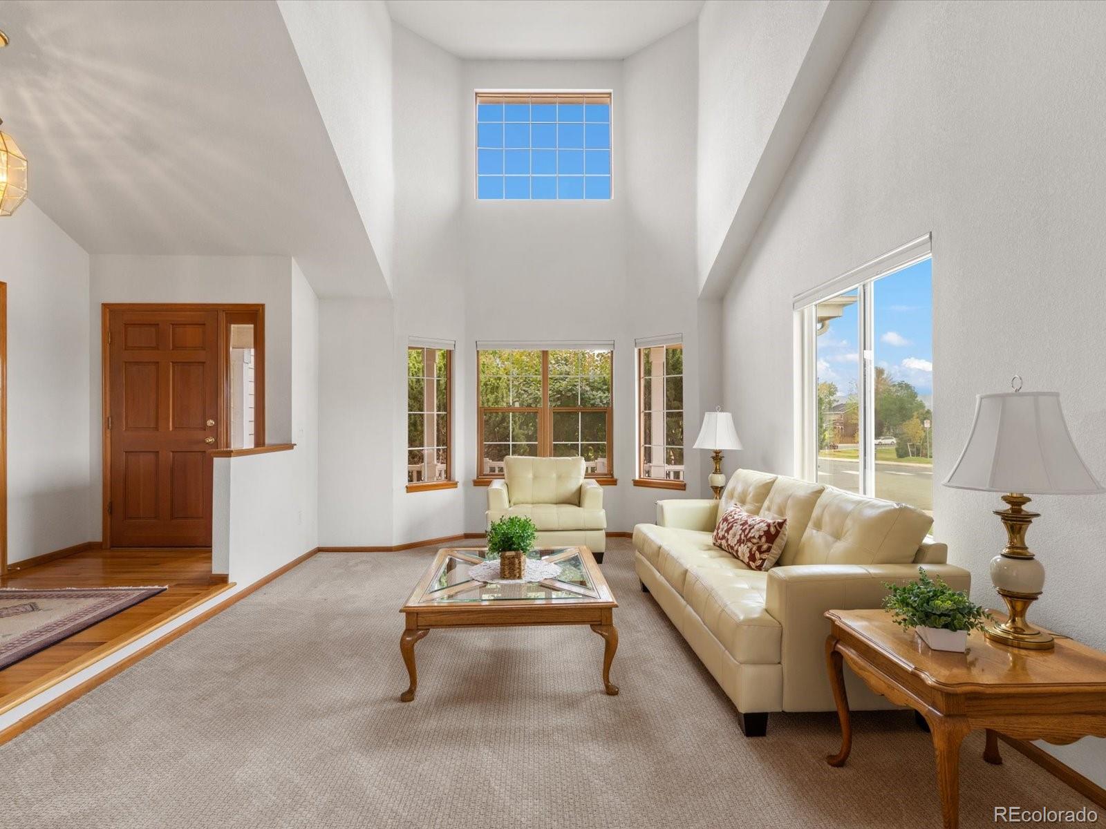 MLS Image #10 for 9748  spring hill drive,highlands ranch, Colorado