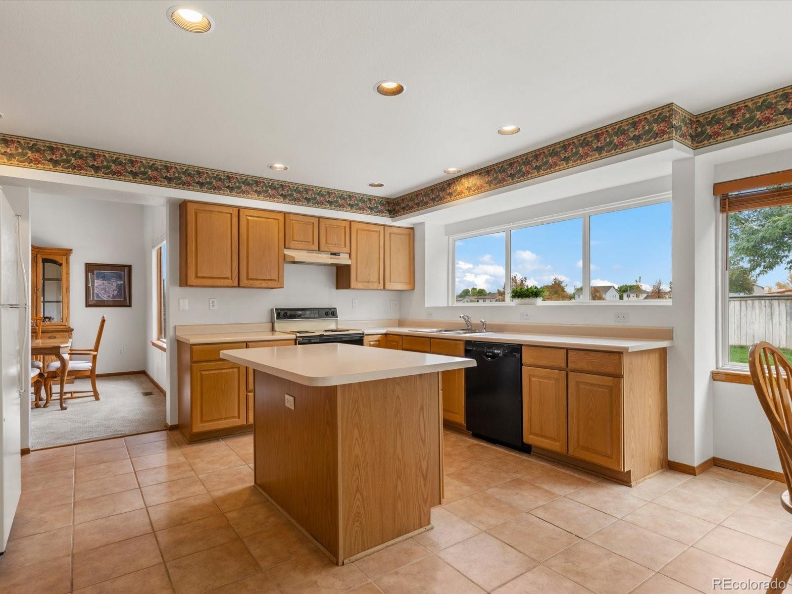MLS Image #16 for 9748  spring hill drive,highlands ranch, Colorado