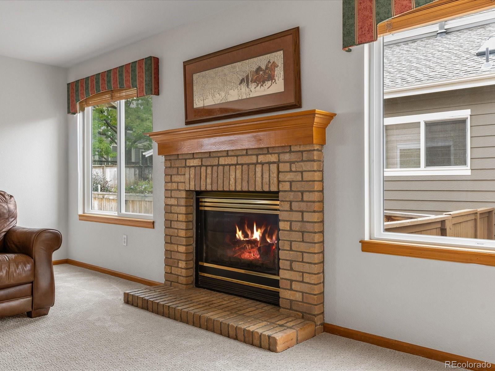 MLS Image #20 for 9748  spring hill drive,highlands ranch, Colorado