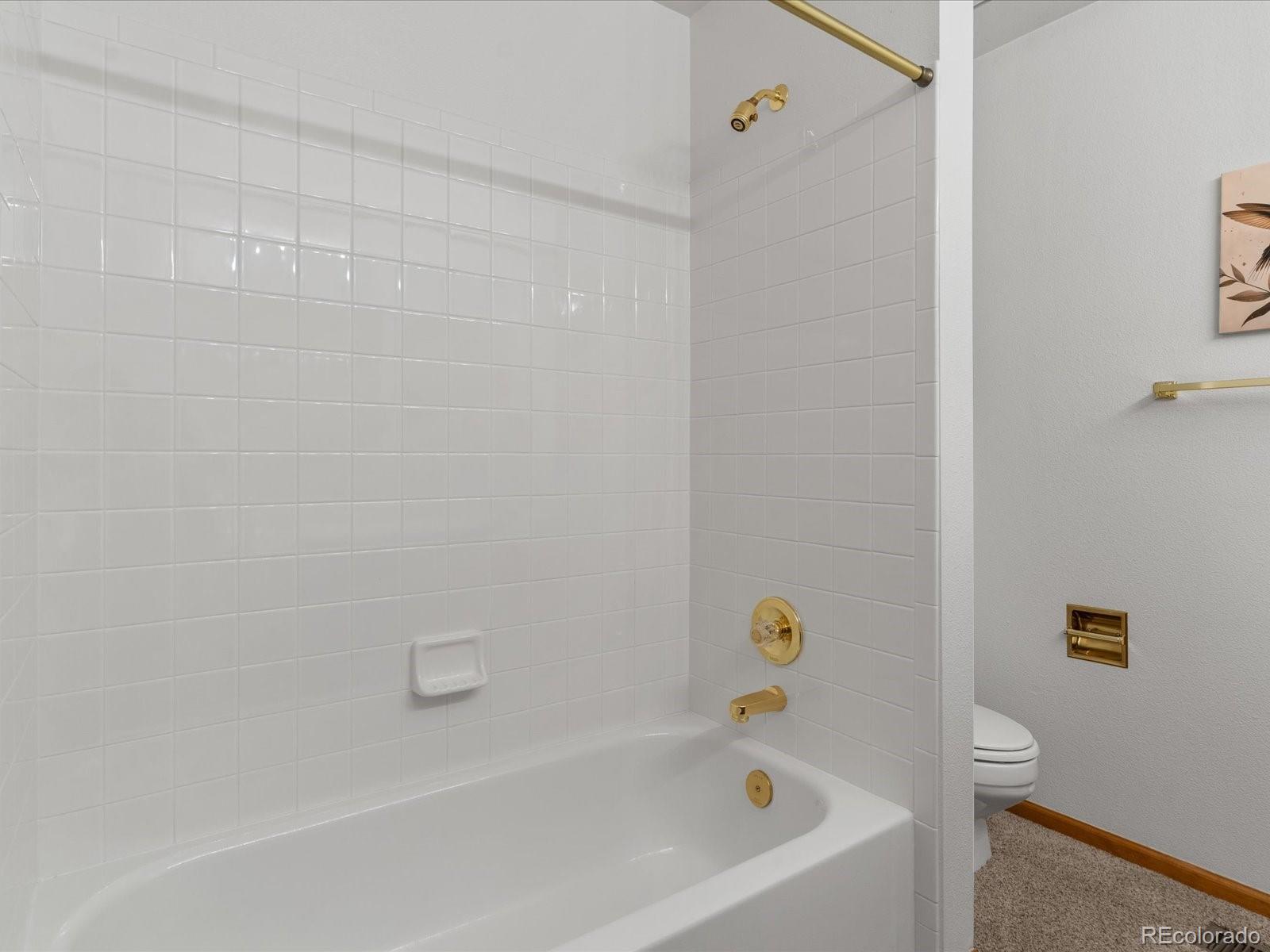 MLS Image #34 for 9748  spring hill drive,highlands ranch, Colorado