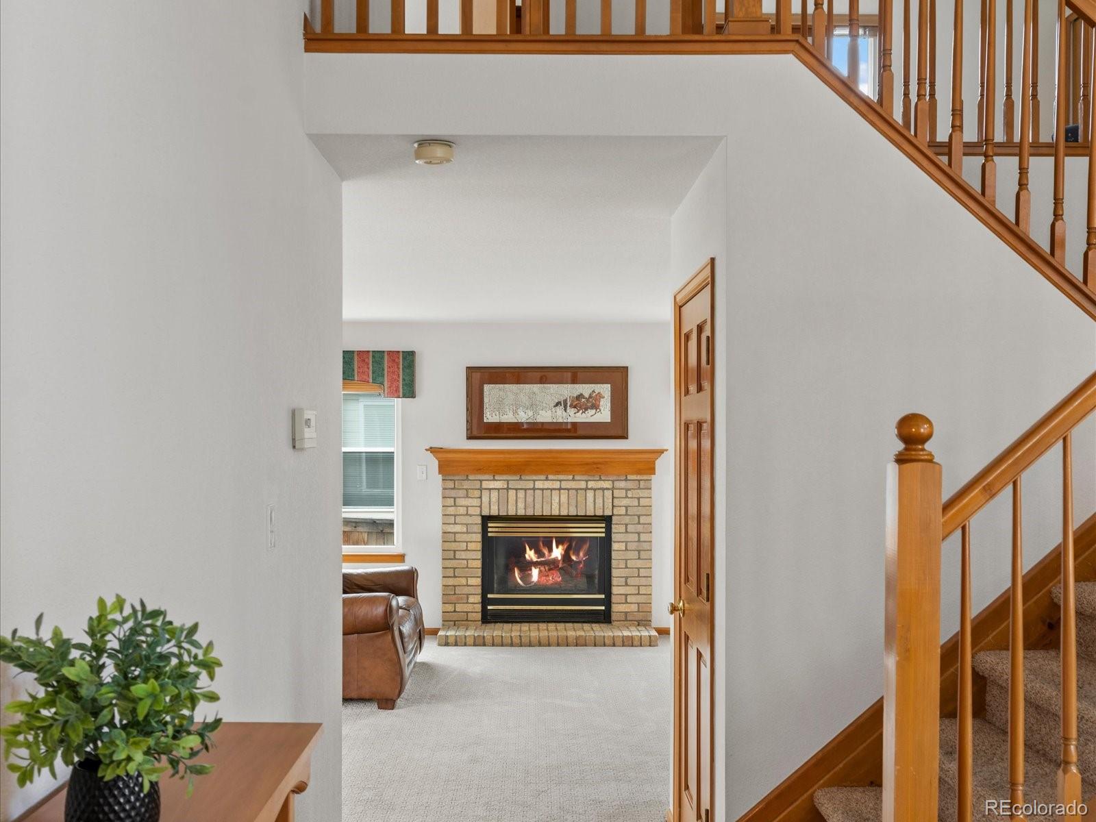 MLS Image #7 for 9748  spring hill drive,highlands ranch, Colorado