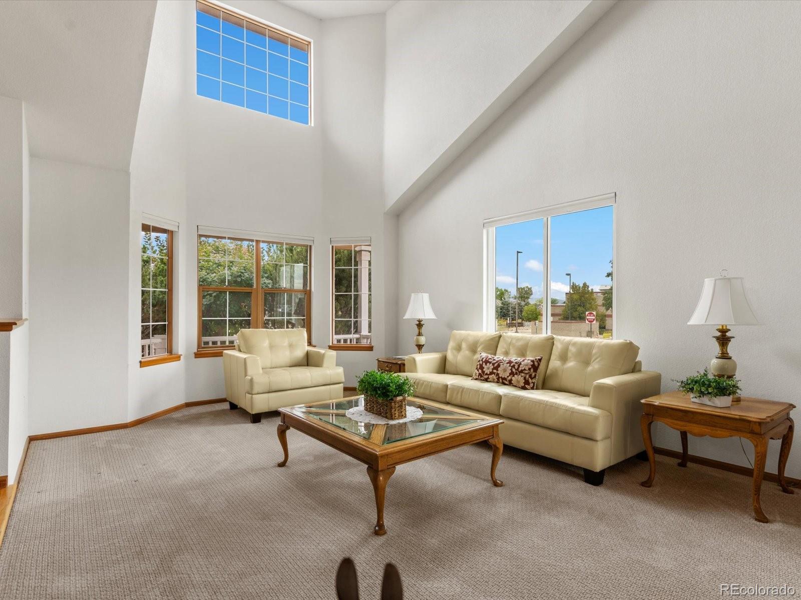 MLS Image #9 for 9748  spring hill drive,highlands ranch, Colorado