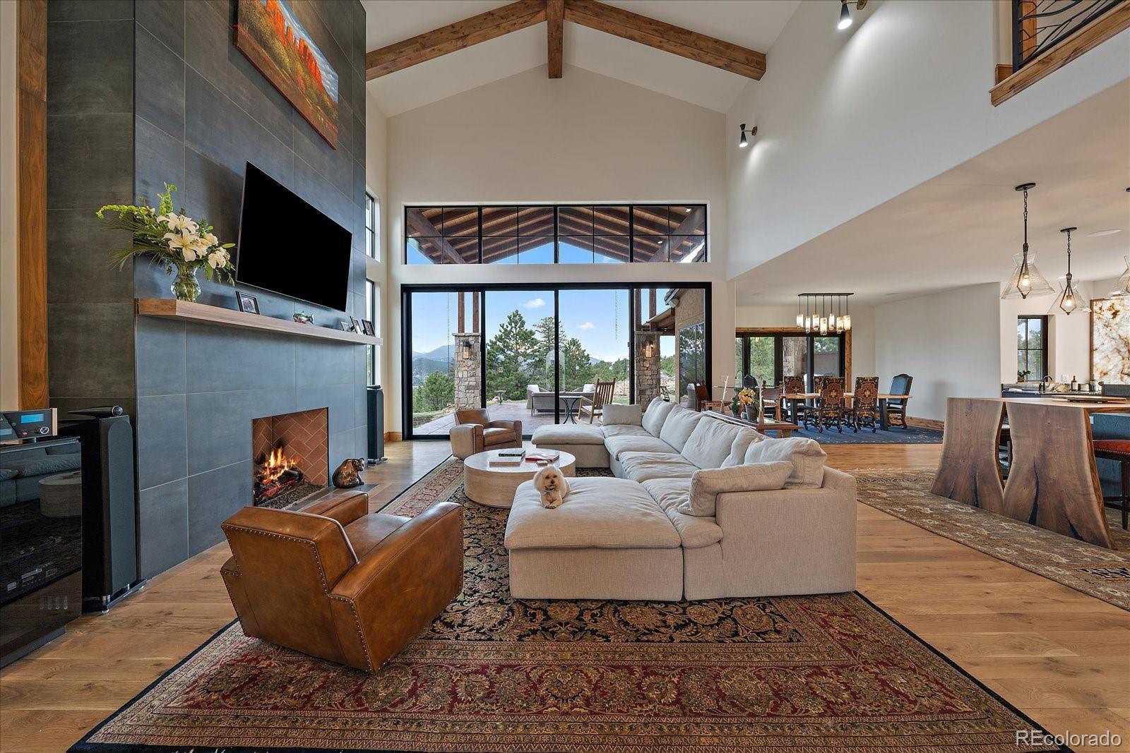MLS Image #10 for 30655  snowbird lane,evergreen, Colorado