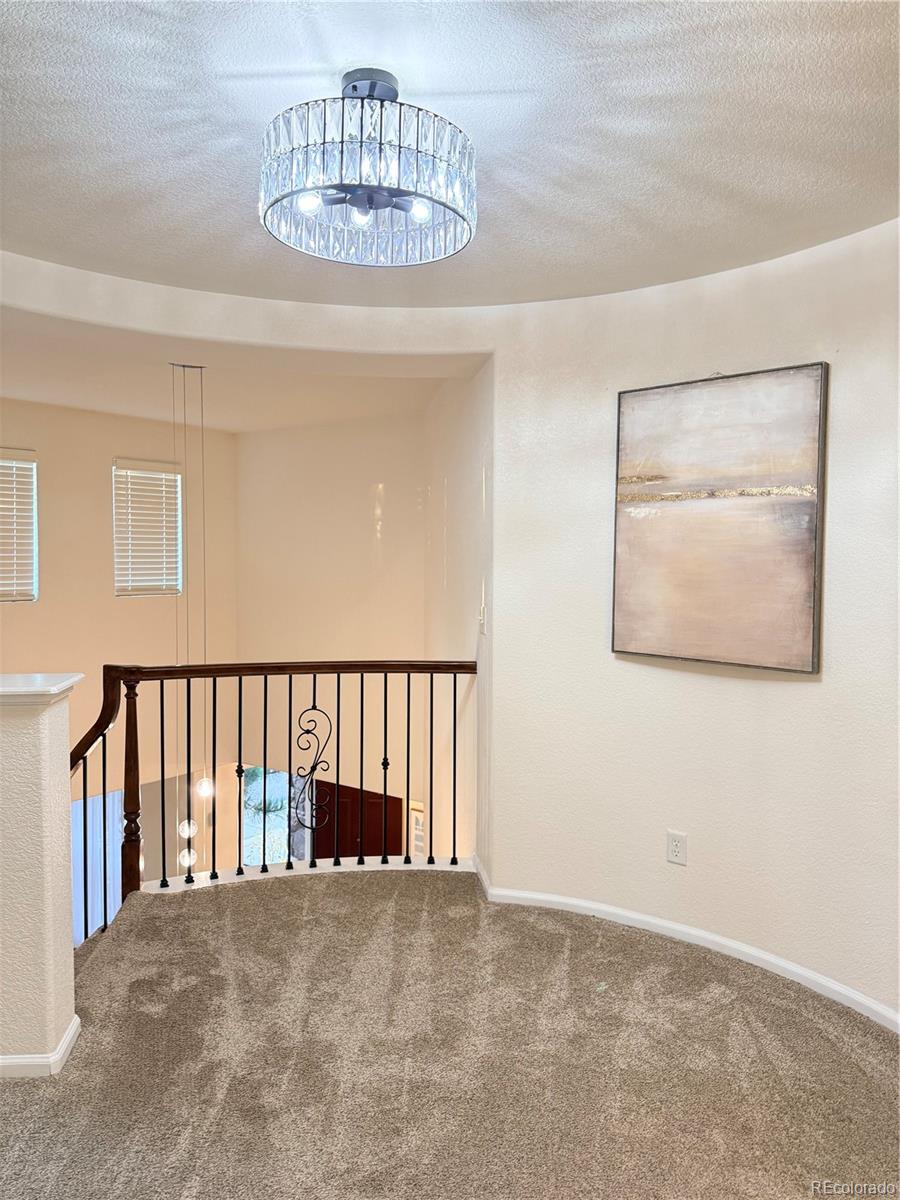 MLS Image #30 for 10828  cedar brook street,highlands ranch, Colorado