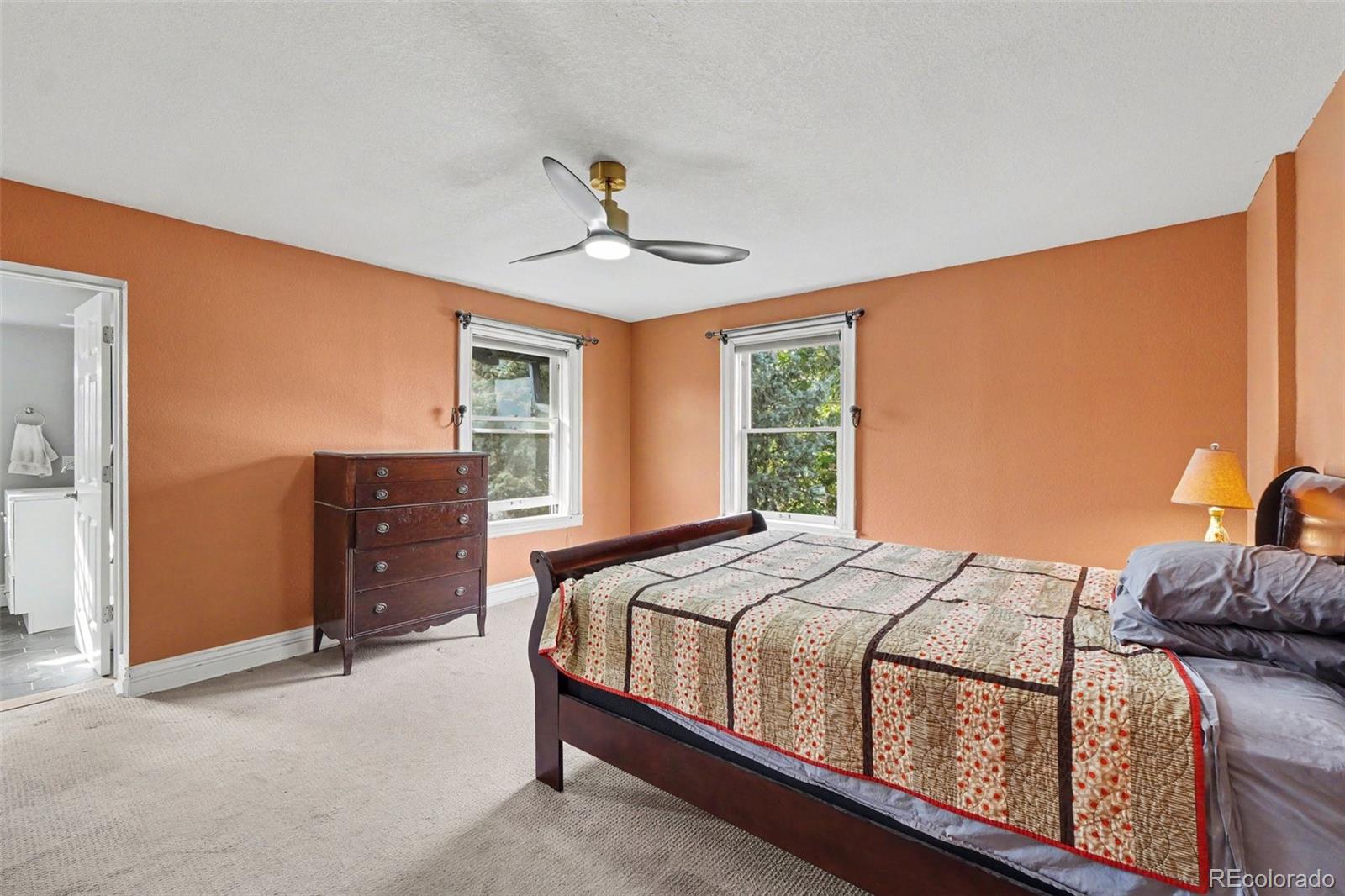 MLS Image #10 for 1359  gaylord street,denver, Colorado