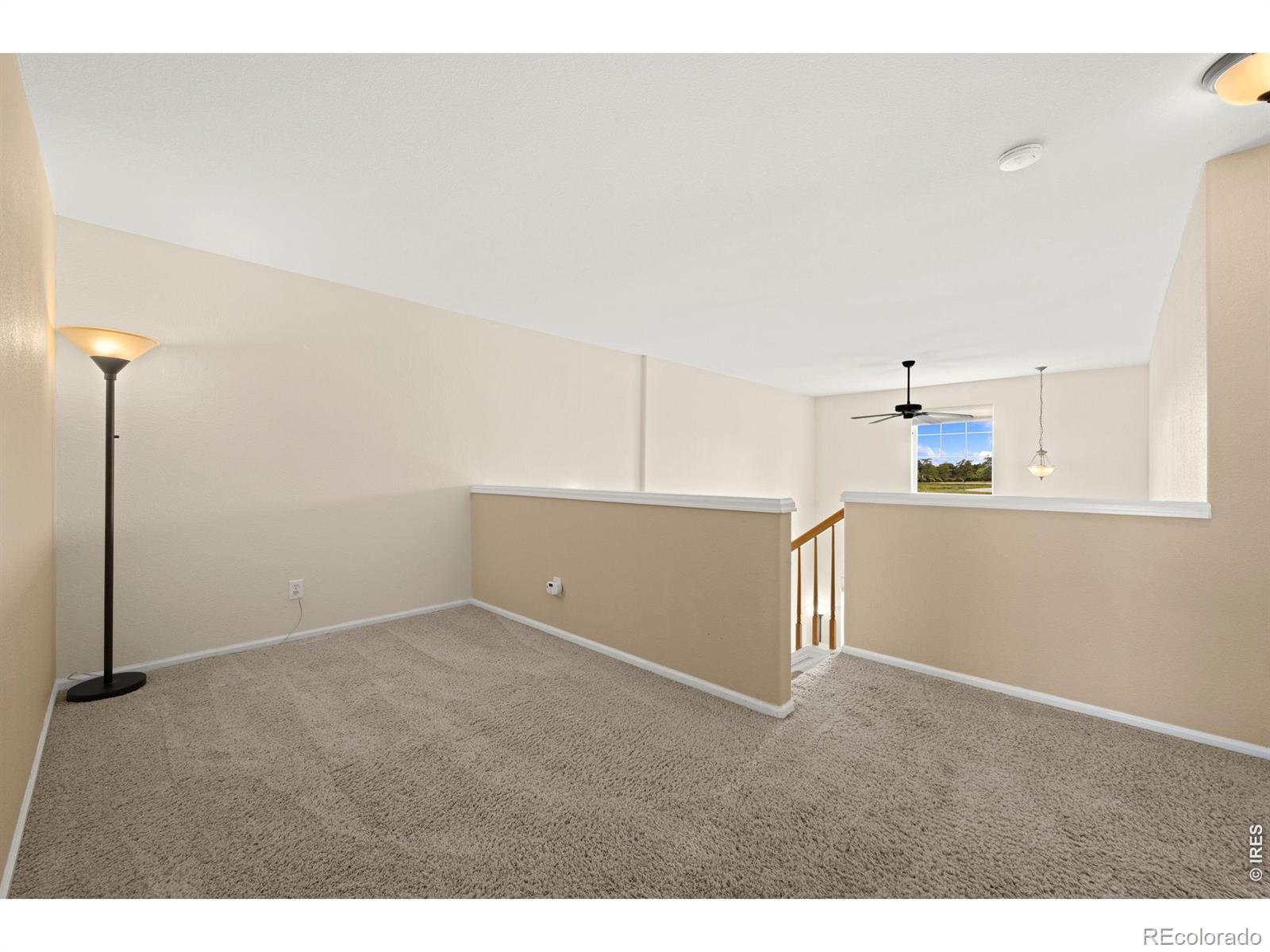 MLS Image #17 for 3070  nunn place,loveland, Colorado
