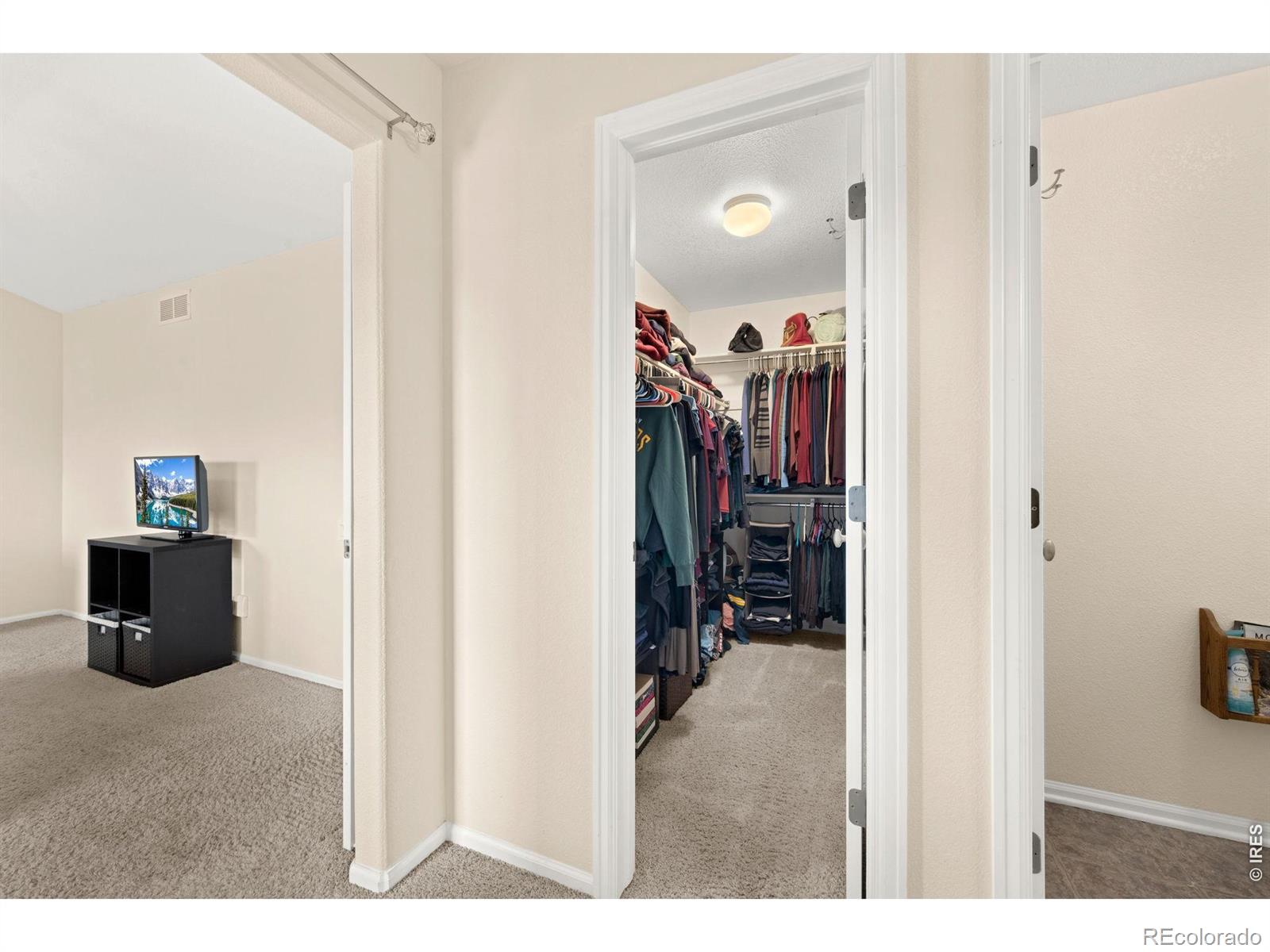 MLS Image #21 for 3070  nunn place,loveland, Colorado