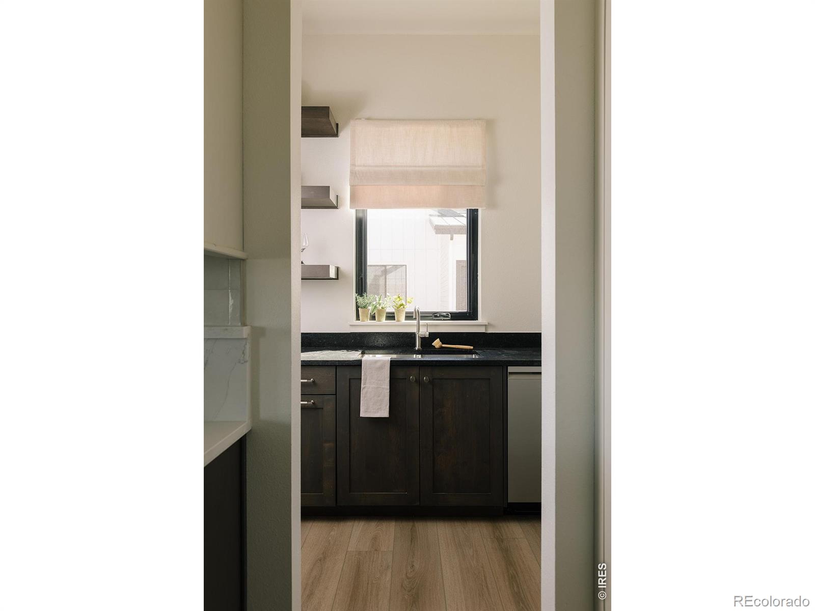 MLS Image #12 for 66  blue fortune drive,windsor, Colorado