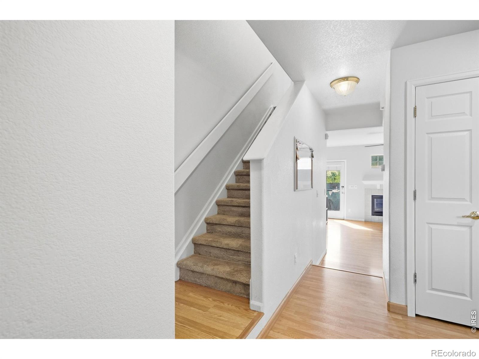 MLS Image #13 for 2905  neil drive,fort collins, Colorado