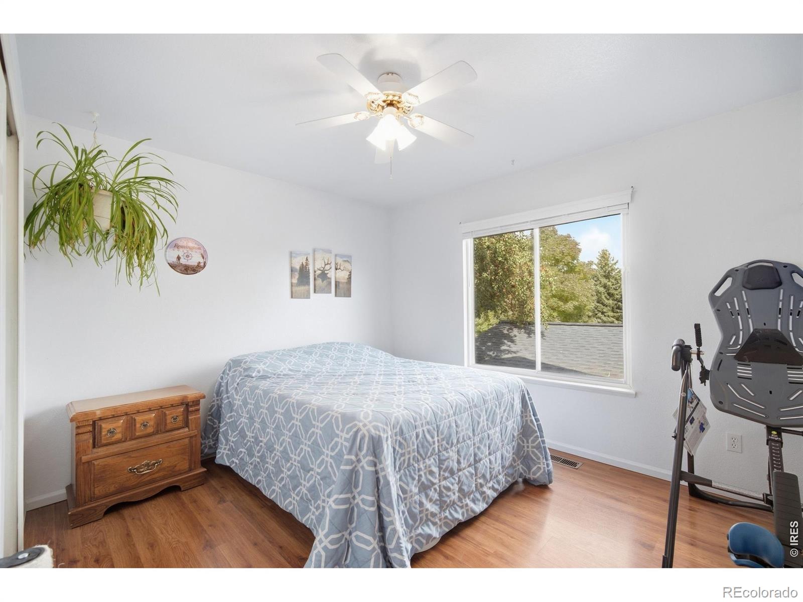 MLS Image #17 for 2905  neil drive,fort collins, Colorado