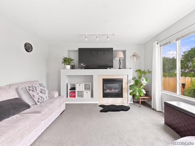MLS Image #7 for 9548 e 112th drive,henderson, Colorado