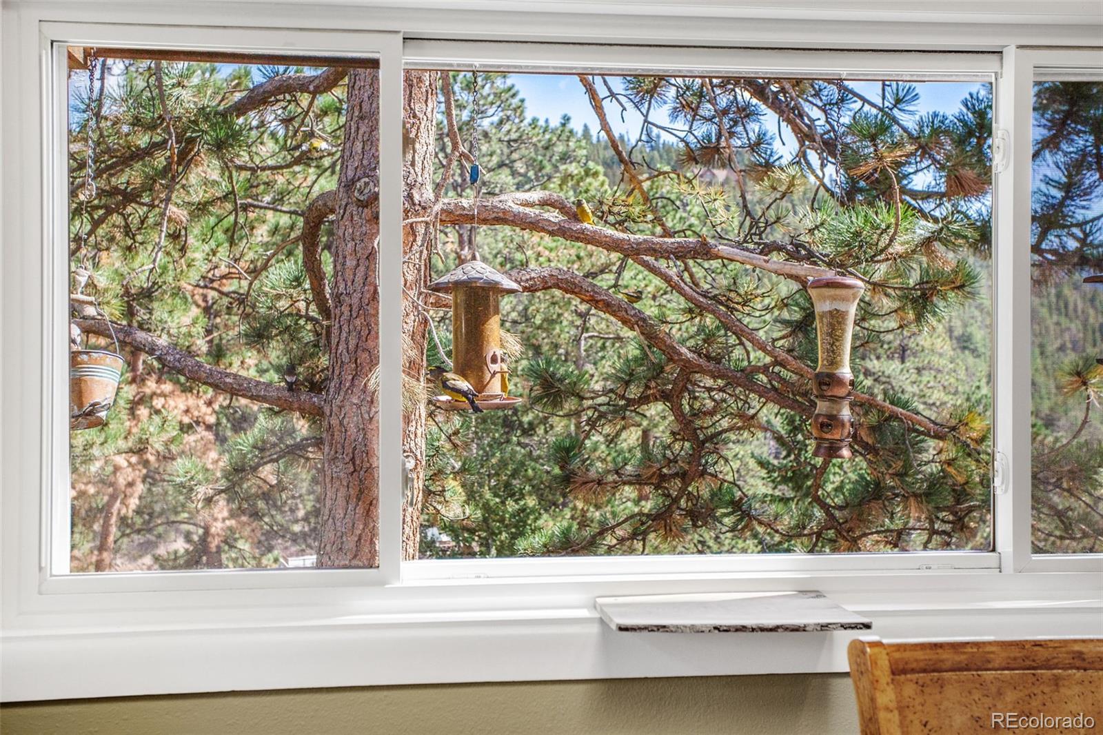 MLS Image #16 for 11668  crescent park circle,golden, Colorado