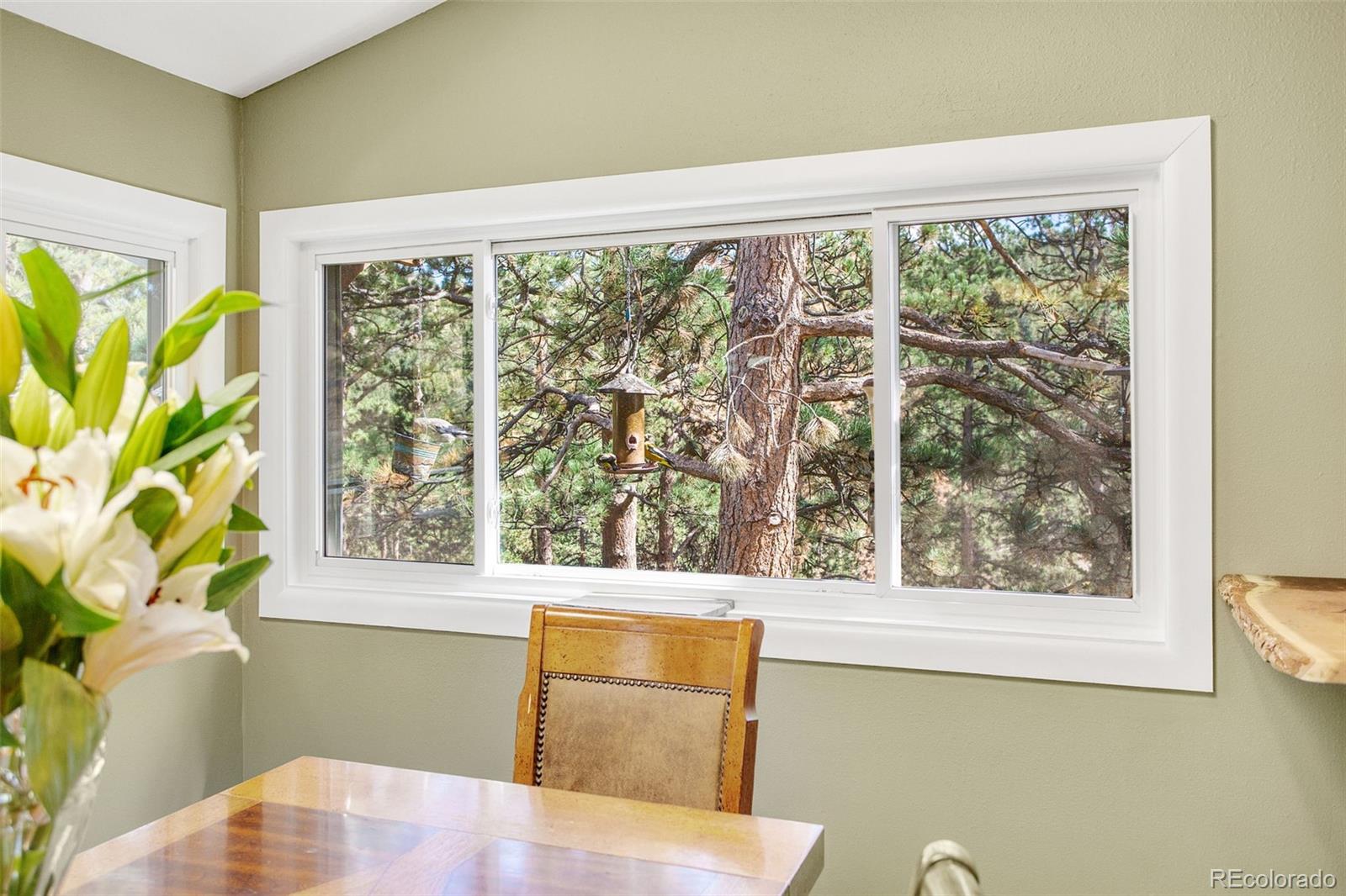 MLS Image #17 for 11668  crescent park circle,golden, Colorado