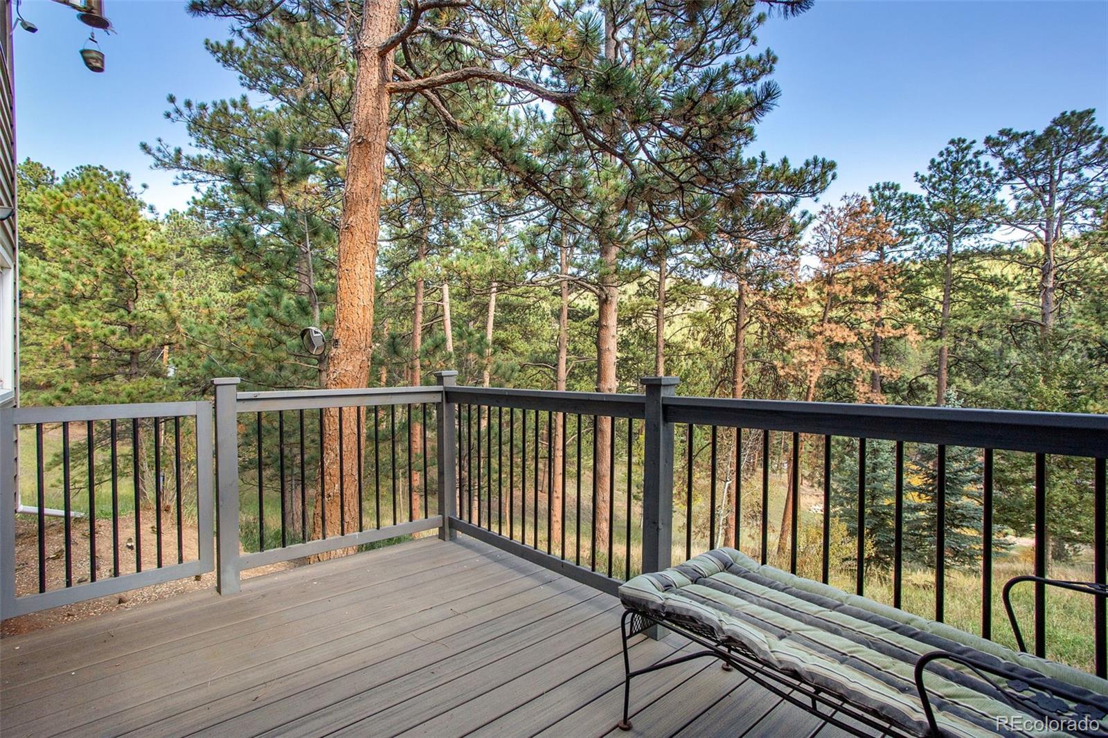MLS Image #31 for 11668  crescent park circle,golden, Colorado
