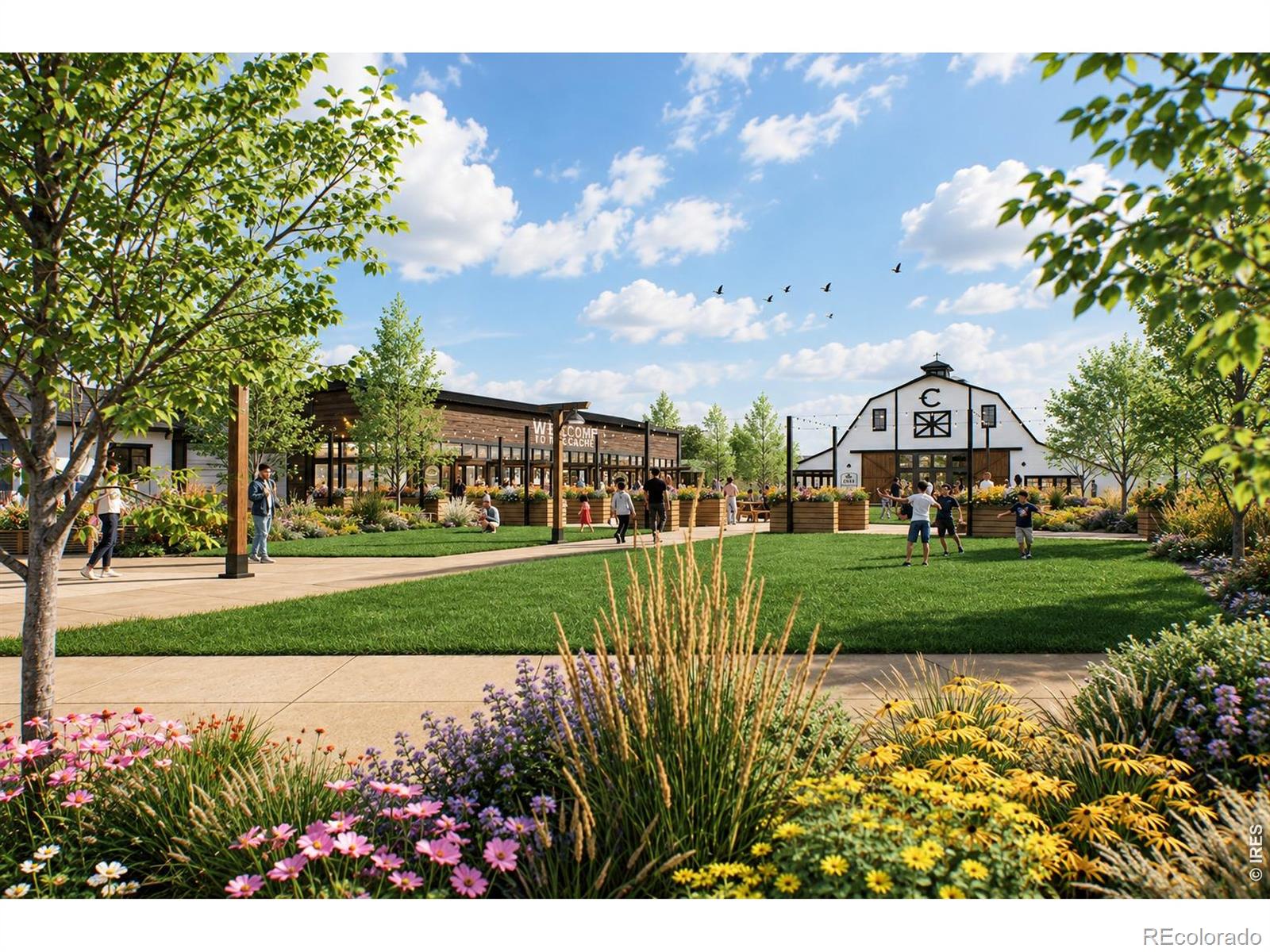 MLS Image #9 for 714  cascade court,greeley, Colorado