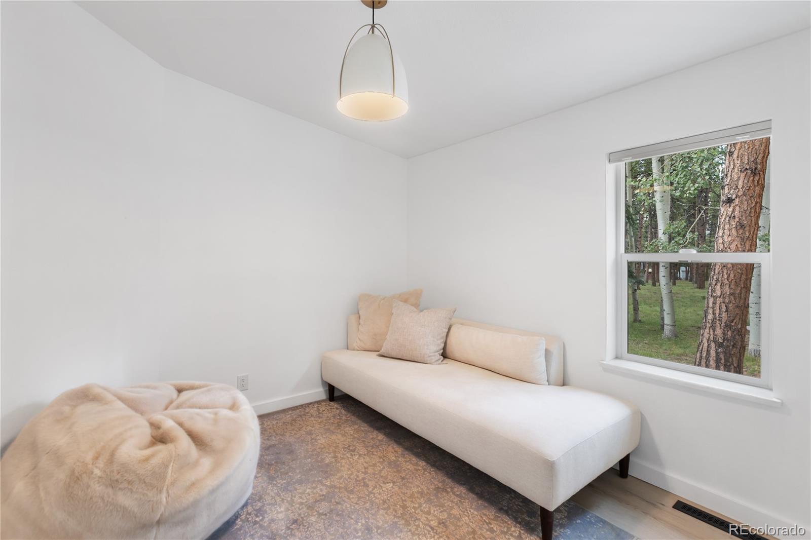 MLS Image #22 for 450  county road,woodland park, Colorado