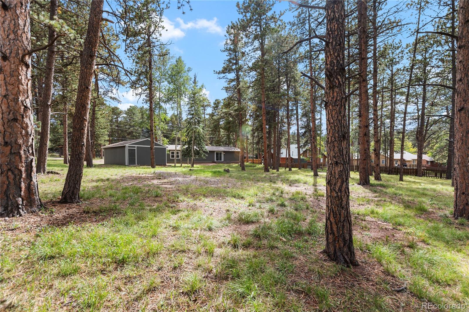 MLS Image #3 for 450  county road,woodland park, Colorado