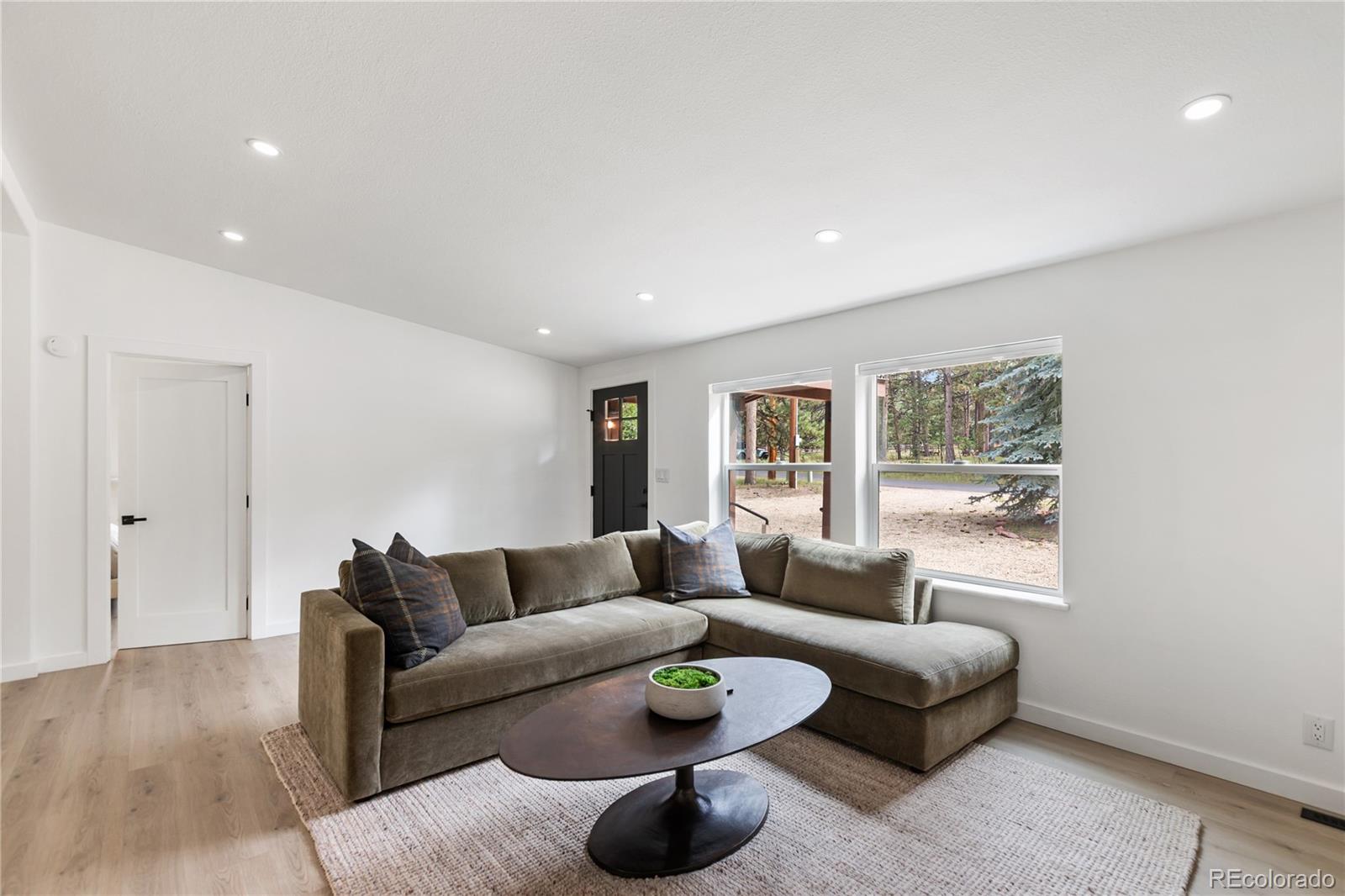 MLS Image #9 for 450  county road,woodland park, Colorado