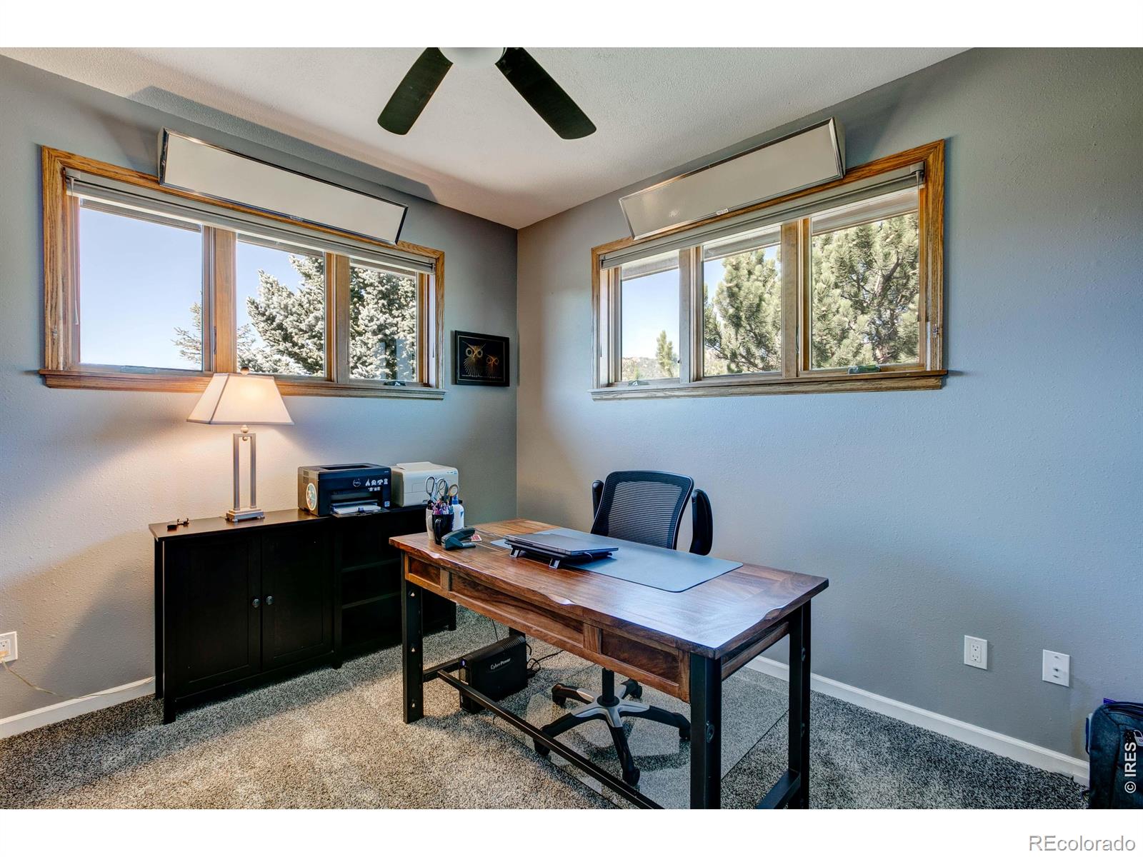 MLS Image #22 for 2570  eagle rock drive,estes park, Colorado