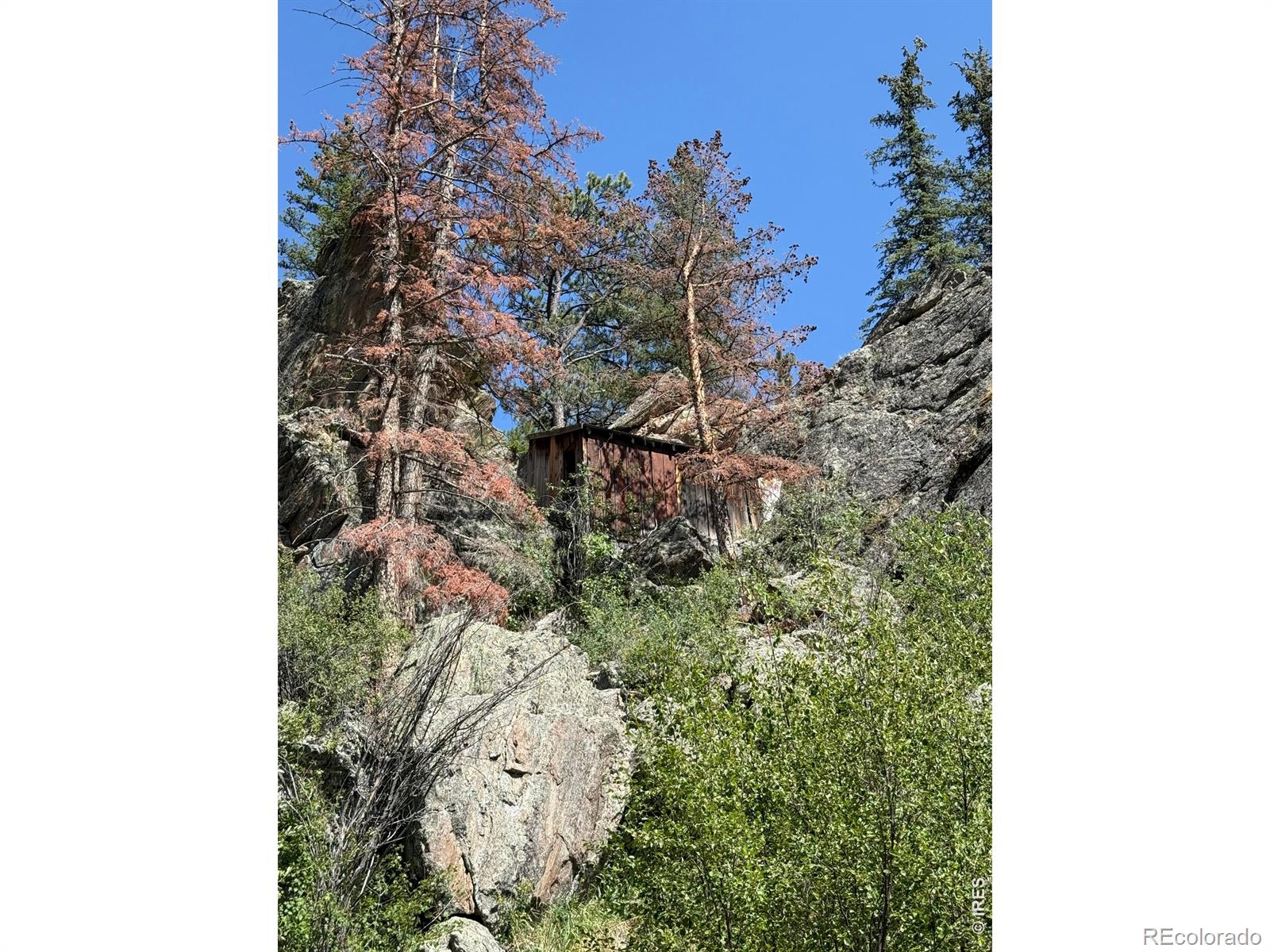 MLS Image #8 for 32  horseshoe bend road,glen haven, Colorado