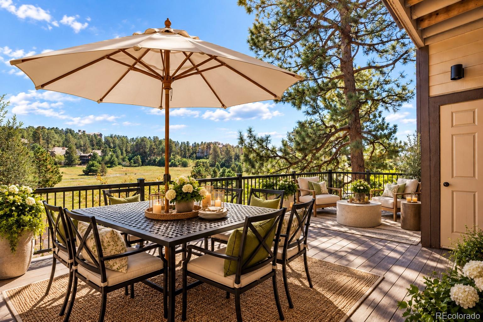 MLS Image #12 for 4204  morning star drive,castle rock, Colorado