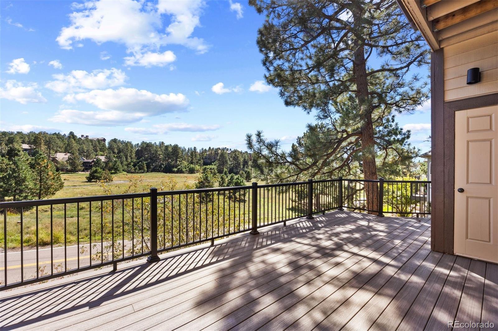 MLS Image #13 for 4204  morning star drive,castle rock, Colorado
