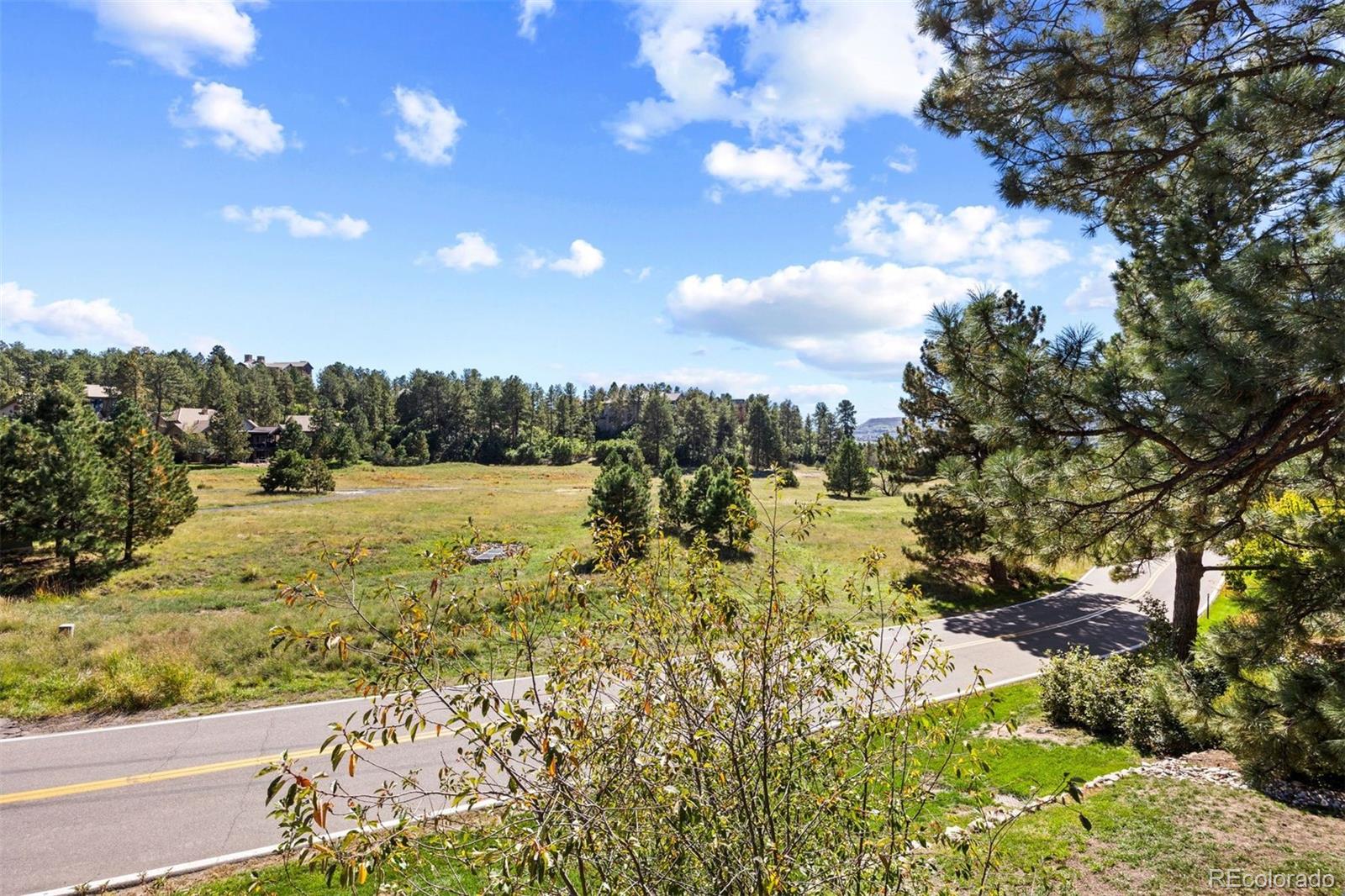MLS Image #14 for 4204  morning star drive,castle rock, Colorado