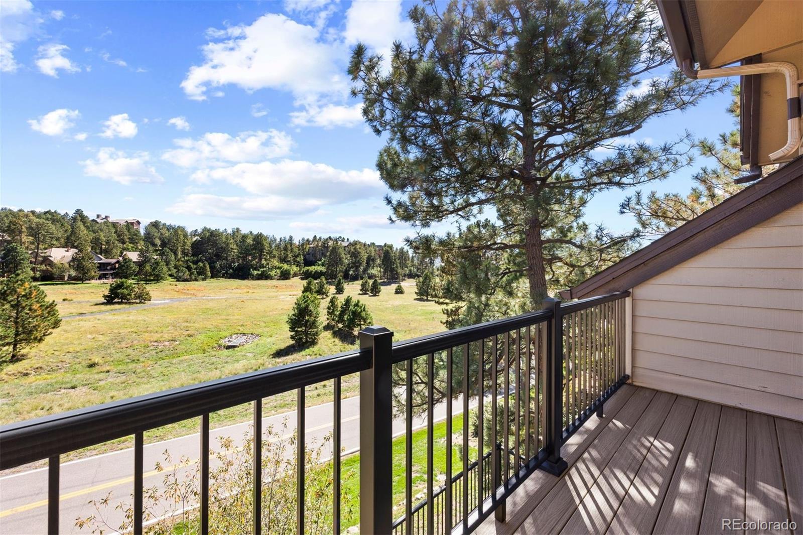 MLS Image #22 for 4204  morning star drive,castle rock, Colorado