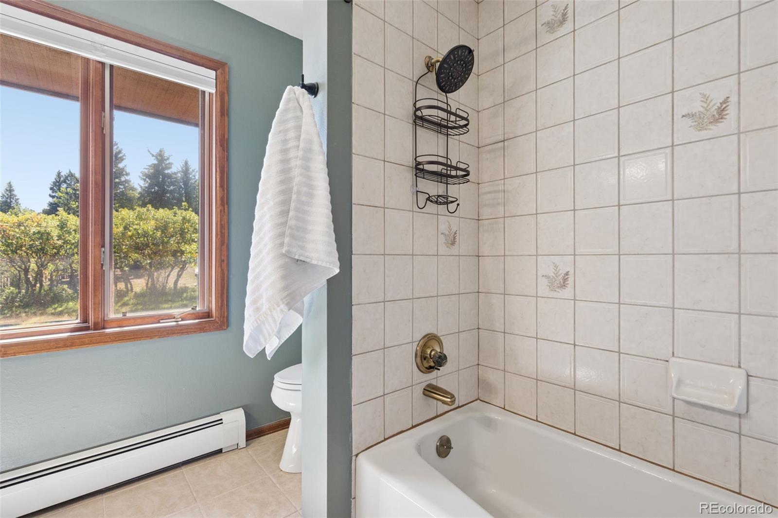 MLS Image #31 for 5145  golden hills court,colorado springs, Colorado